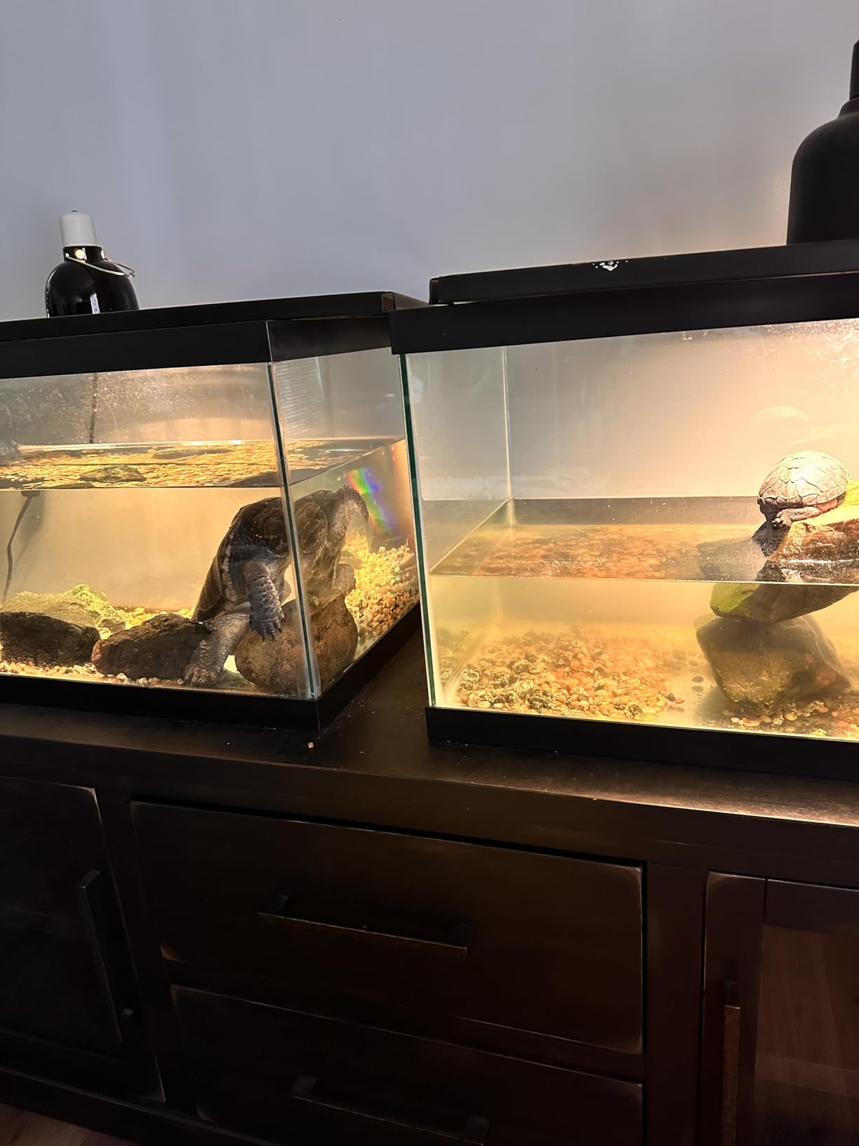 Marineland Magniflow Canister Filter 220 GPH For Aquariums, Easy Maintenance customer photo 2