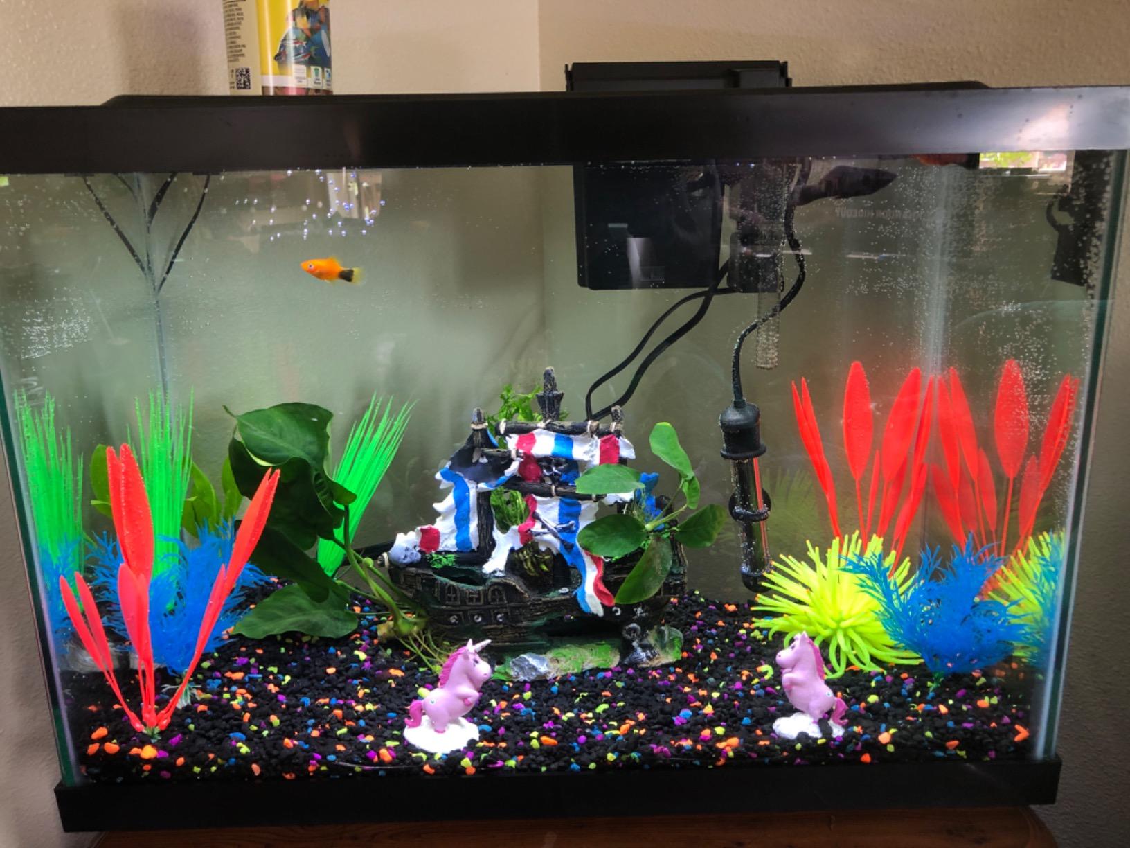 GloFish 20 Gallon Aquarium Kit with LED Lights, Decor Heater and Filter customer photo 1