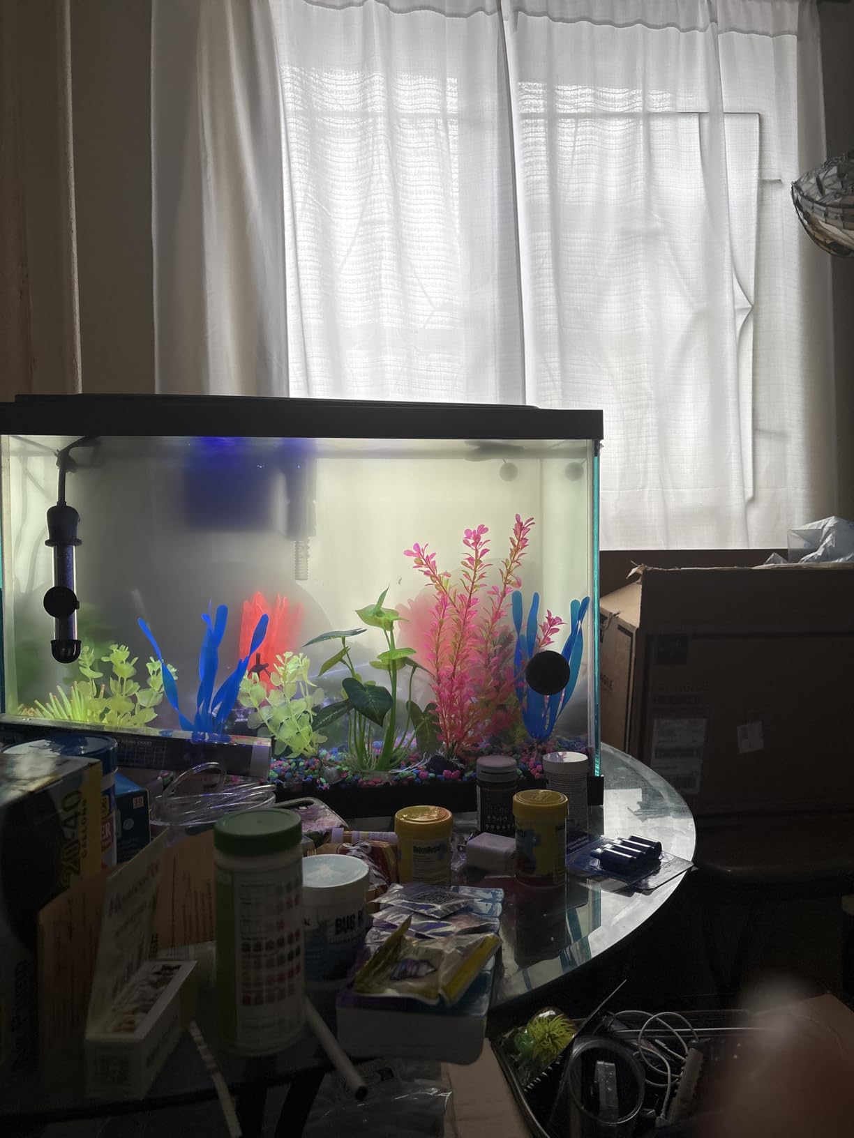 GloFish 20 Gallon Aquarium Kit with LED Lights, Decor Heater and Filter customer photo 2