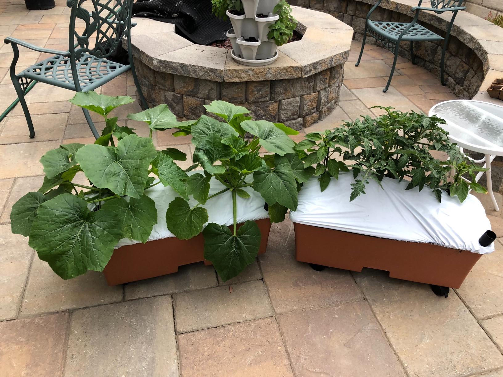 EarthBox 80151 Garden Kit, Organic, Green - Self-Contained Growing System customer photo 1