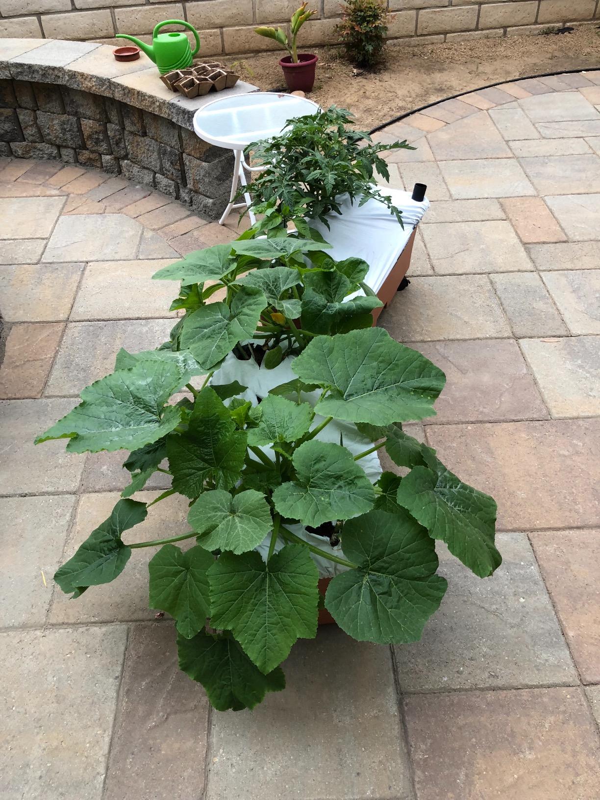 EarthBox 80151 Garden Kit, Organic, Green - Self-Contained Growing System customer photo 2