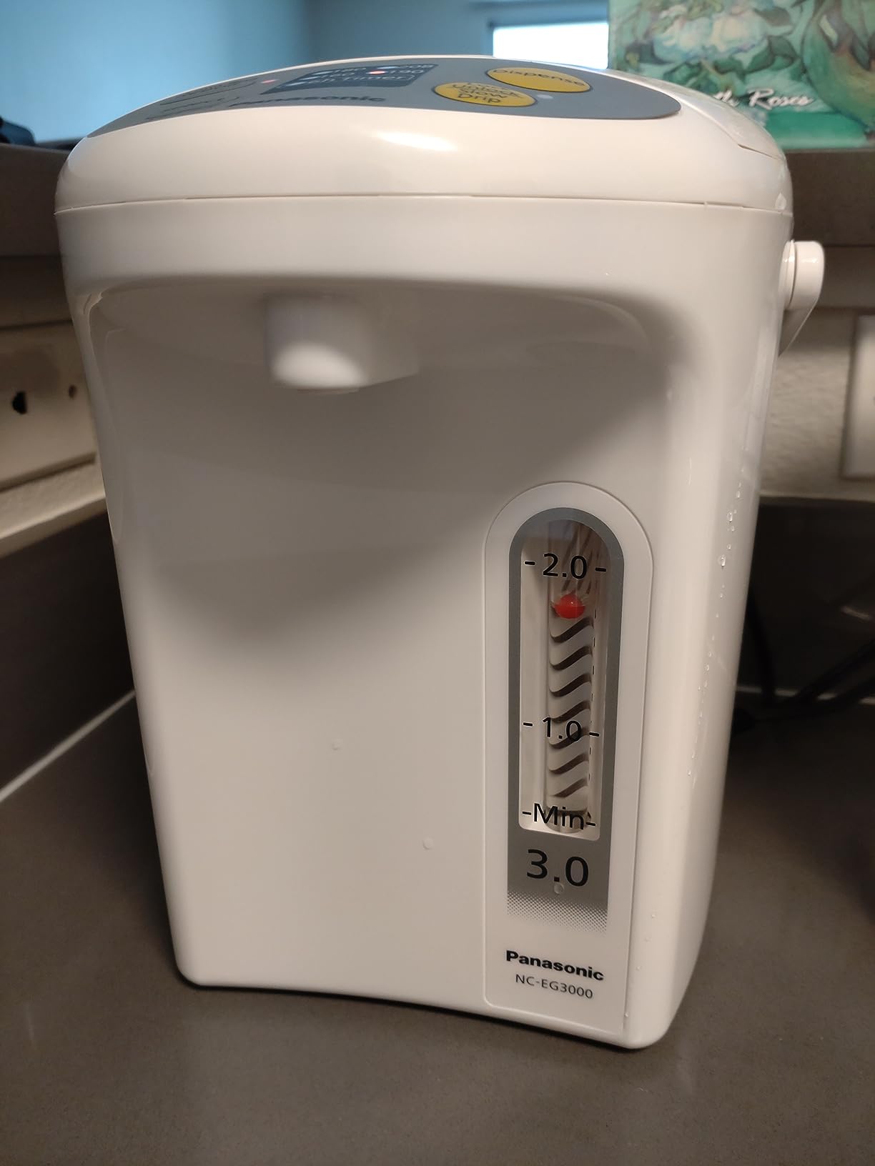 Panasonic 3L Water Boiler Electric Hot Water Dispenser Countertop w/Slow-Drip Mode for Coffee & Tea, 4 Temp Presets, Charcoal-Purified Stainless, Auto Shut-Off, Timer & Safety Lock - NC-EG3000 customer photo 2