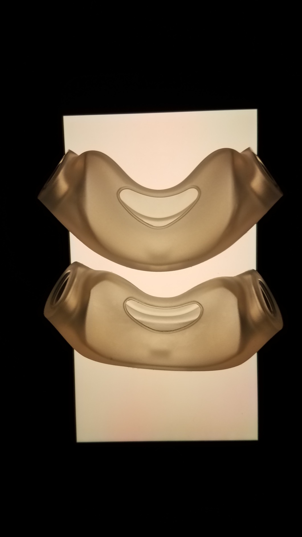 Philips Respironics DreamWear Nasal Cushion (Medium) customer photo 2