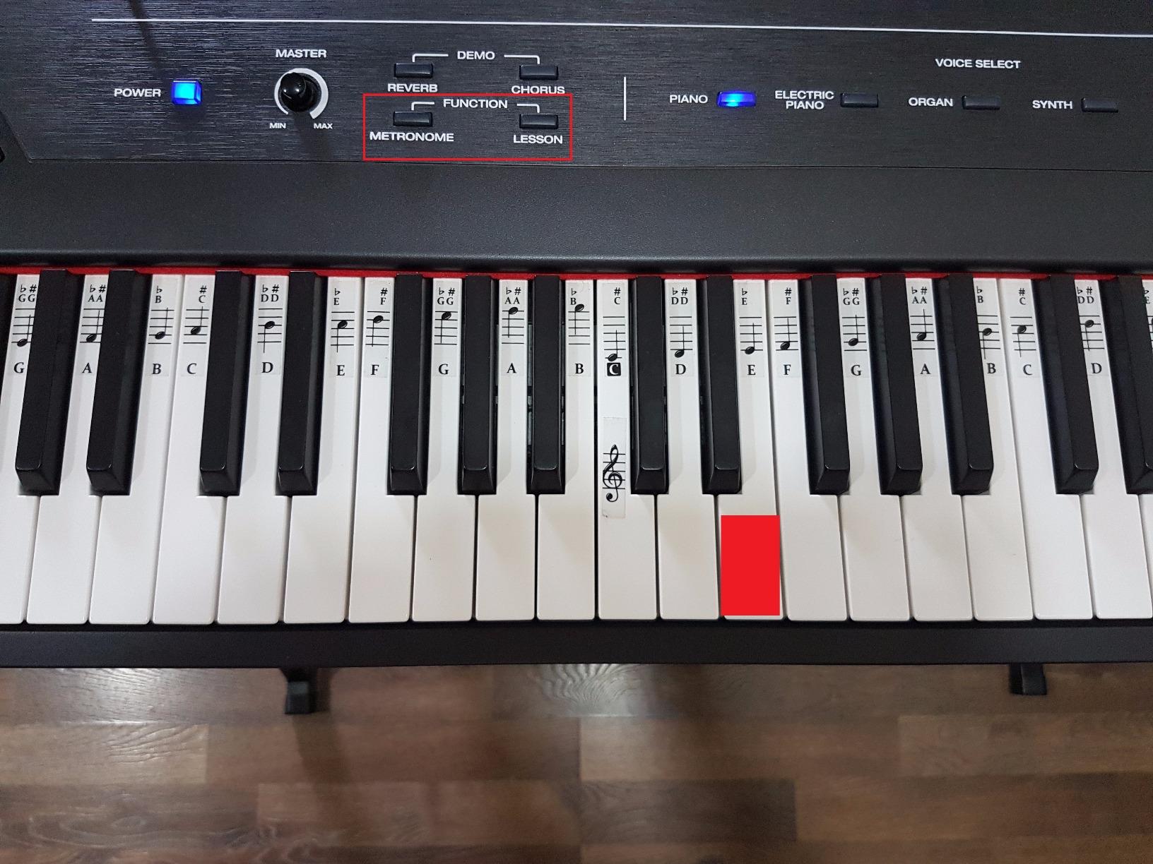 Alesis Recital - 88 Key Digital Piano Keyboard with Semi-Weighted Keys, 2x20W Speakers, 5 Voices, Split, Layer and Lesson Mode, FX and Piano Lessons customer photo 2