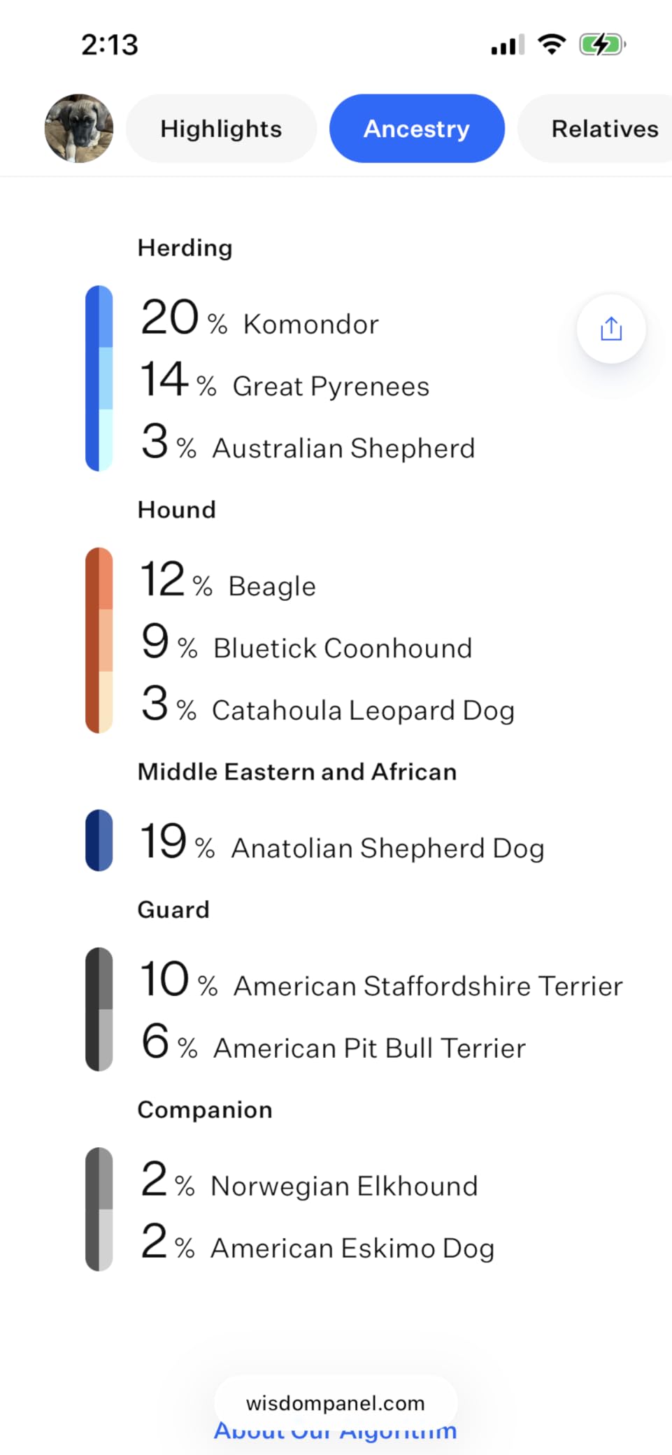Wisdom Panel Breed Discovery Dog DNA Kit: Most Accurate Dog Breed Identification, Test for 365+ Breeds, MDR1 Health Test, Ancestry, Relatives customer photo 1