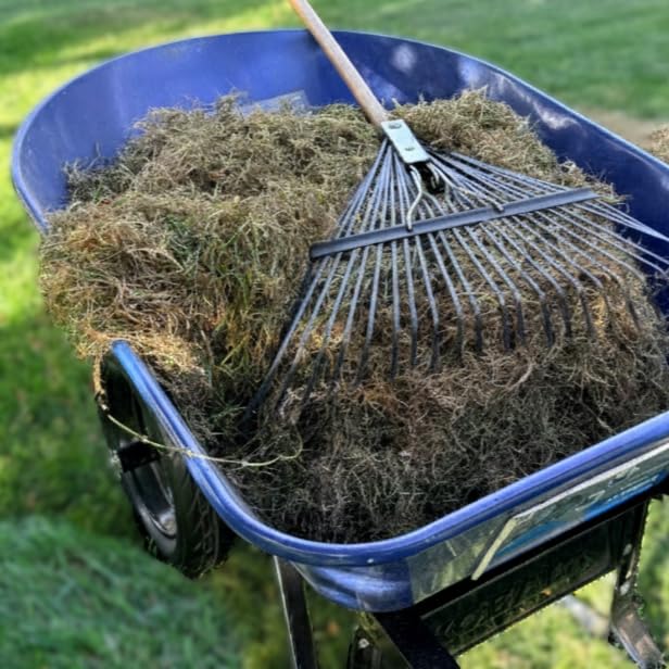 Sun Joe Corded Electric Dethatcher & Scarifier with 8-Gal Bag, 12.6-Inch Cutting Width, 12-Amp Motor - Heavy-Duty Yard Trimmer for Gardening Care and Lawn Maintenance, AJ801E customer photo 2