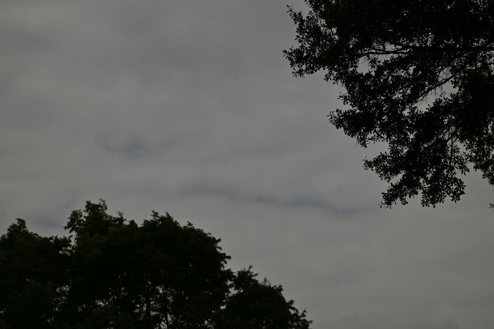 Cokin P Series H300-06 Soft-Edge Landscape Graduated Neutral Density Kit, Includes GND8 0.9 Soft Filter, Gradual Blue 0.5 Soft Filter, Gradual Tobacco 0.9 Soft Filter customer photo 2