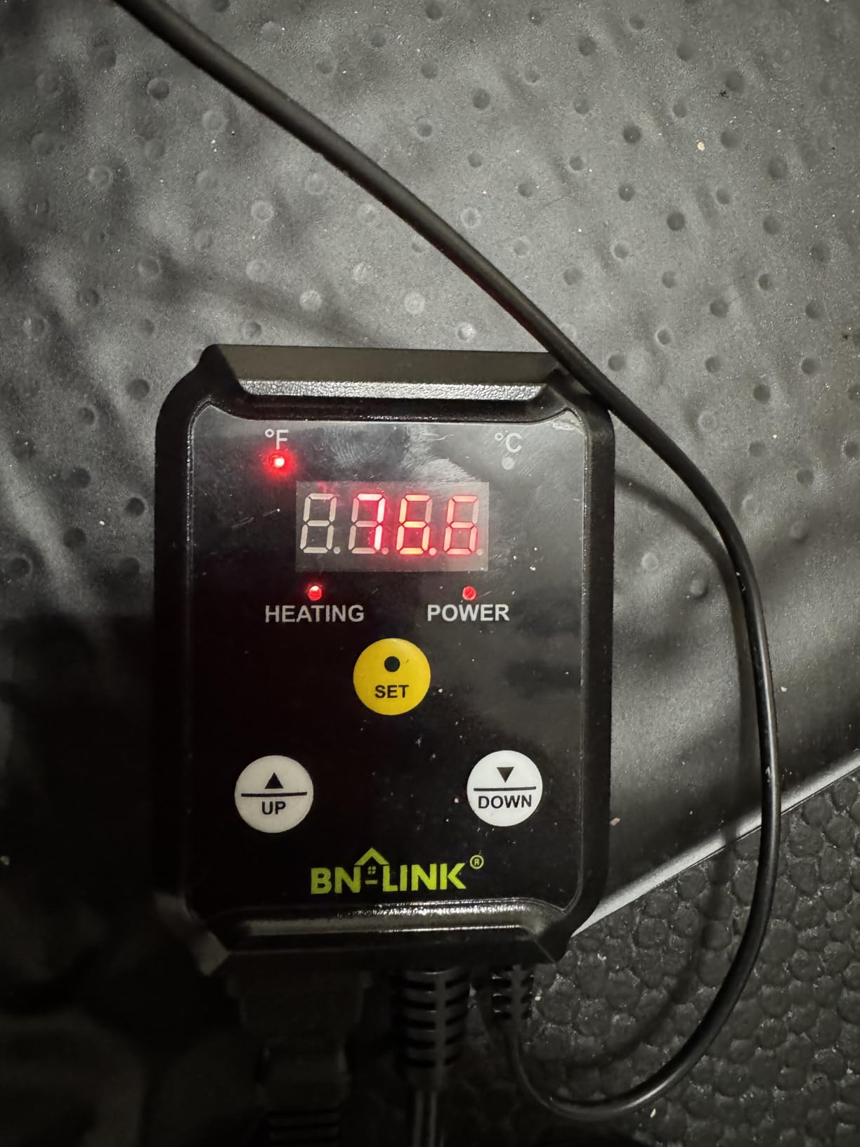 BN-LINK Reptile Thermostat Temperature Controller, Digital Heat Mat Thermostat for Seed Starting, Plant Germination, Greenhouse, Incubator, Brooder, Brewing, Reptiles Tank, 40-108°F, 1000W, ETL Listed customer photo 1