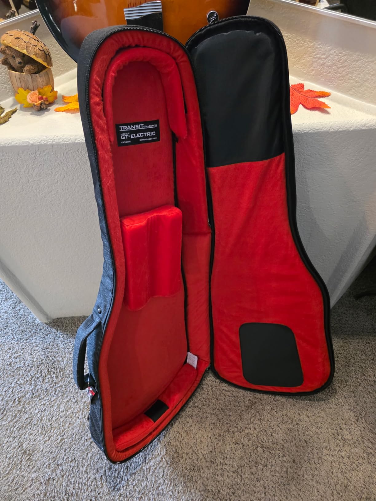 Gator Cases Transit Series Lightweight Electric Guitar Gig Bag with Back Pack Straps and Rubberized Base, Charcoal Black Exterior (GT-ELECTRIC-BLK) customer photo 2