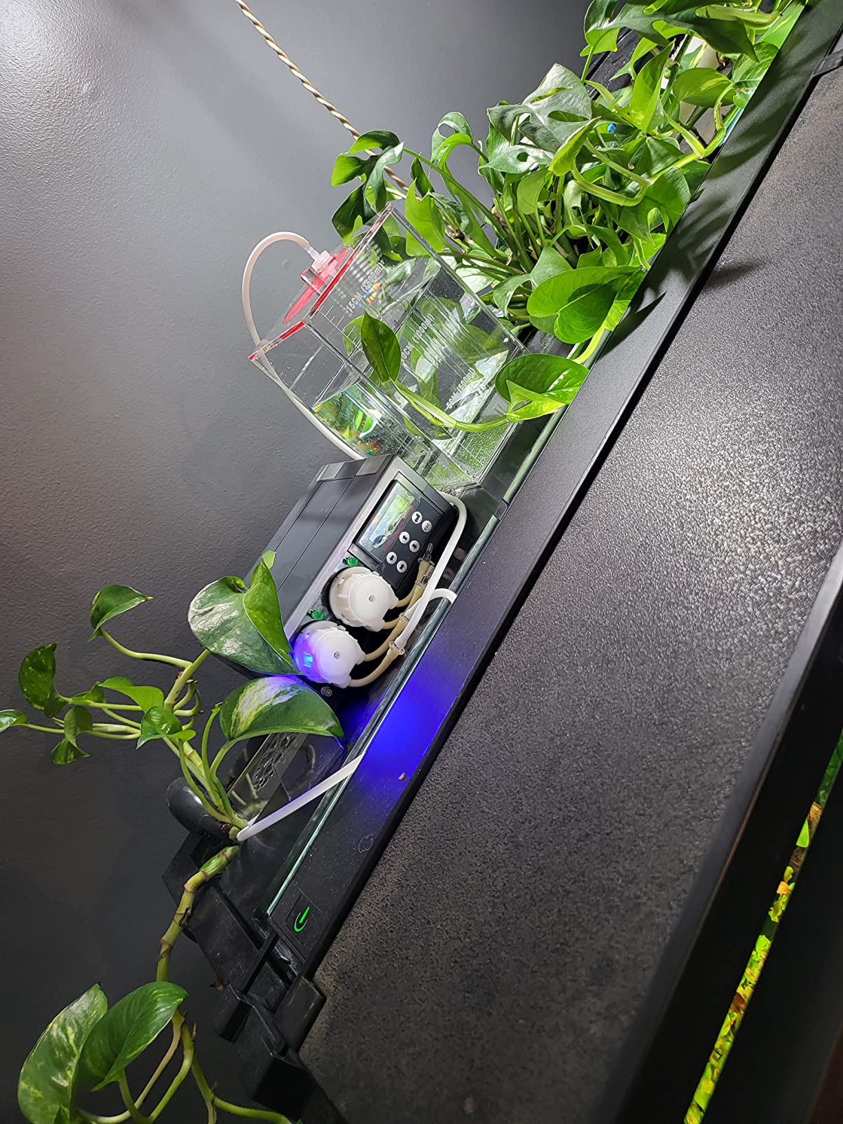 Jecod DP-2 Programmable Auto Dosing Pump, 2 Channel customer photo 1