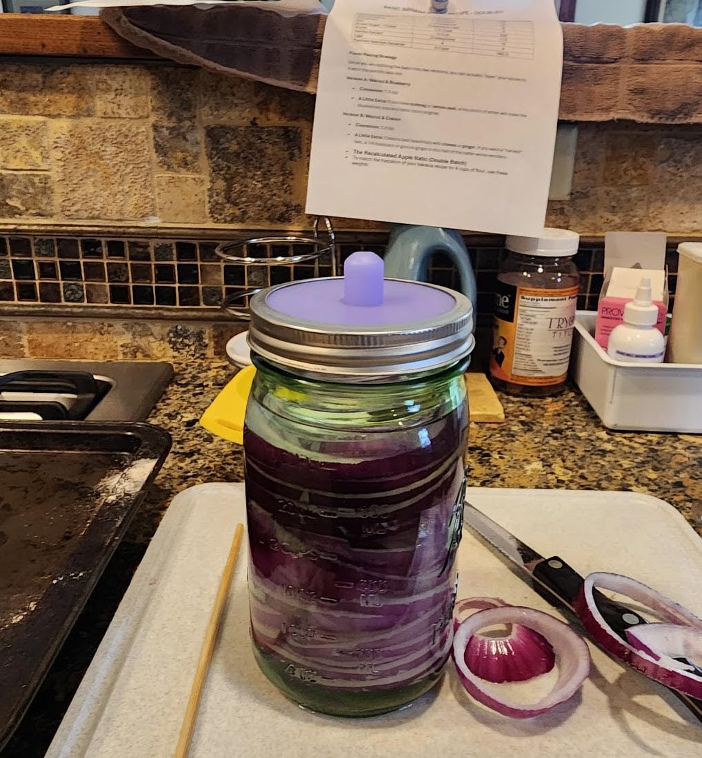 Masontops Pickle Pipes - Airlock Fermentation Lids - Fermentation Kit For Wide Mouth Mason Jar Sauerkraut & Pickle Kit - Fermentation Jar Not Included customer photo 1