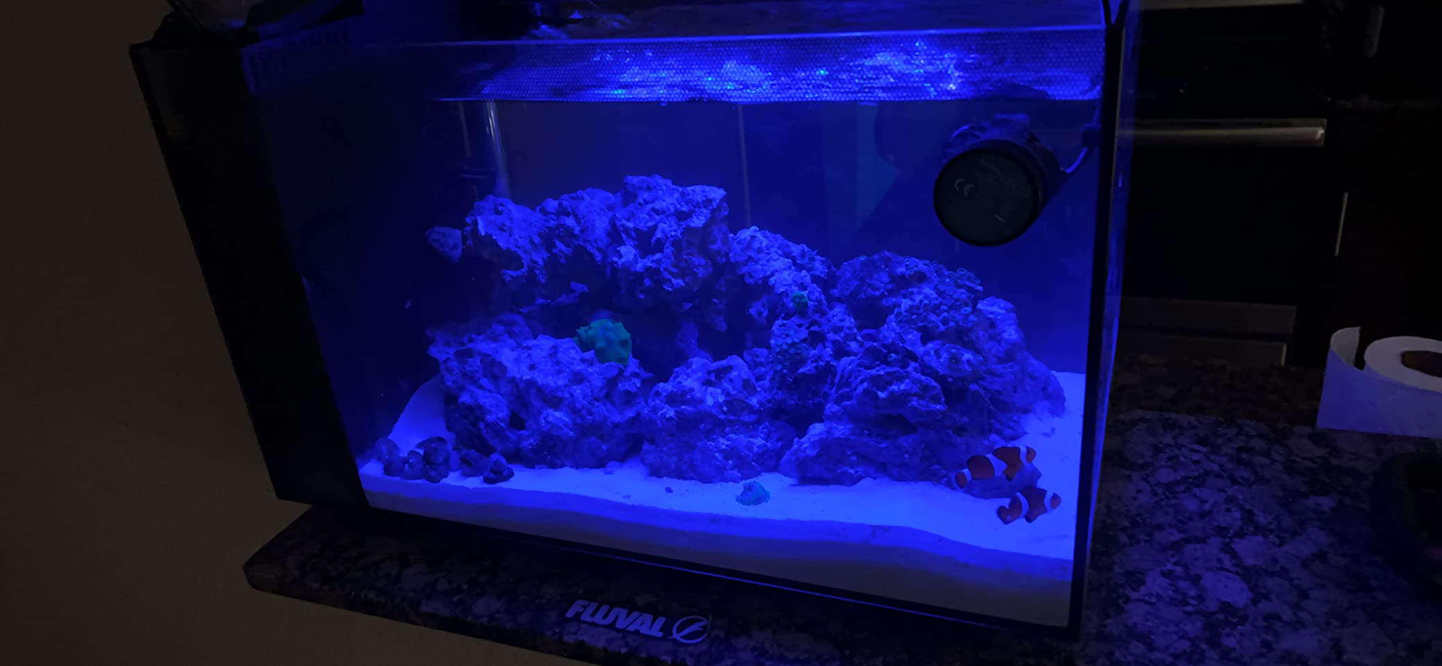 Fluval Evo XII Saltwater Aquarium Kit, 13.5 Gal. - Saltwater Fish Tank with Reef-Capable LED, Efficient 3-Stage Filtration and Seamlessly Integrated Hardware customer photo 1