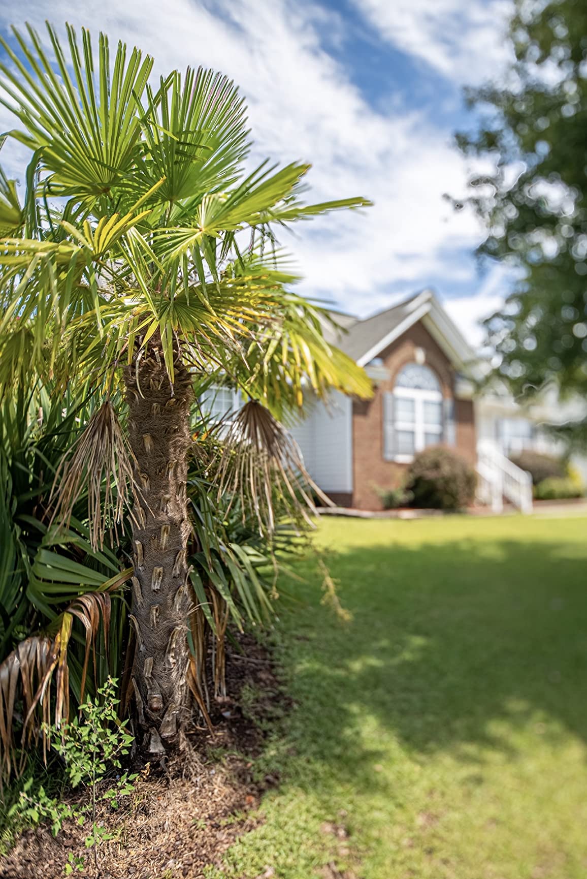 Nikon PC NIKKOR 19mm f/4E ED Tilt-Shift Lens customer photo 1