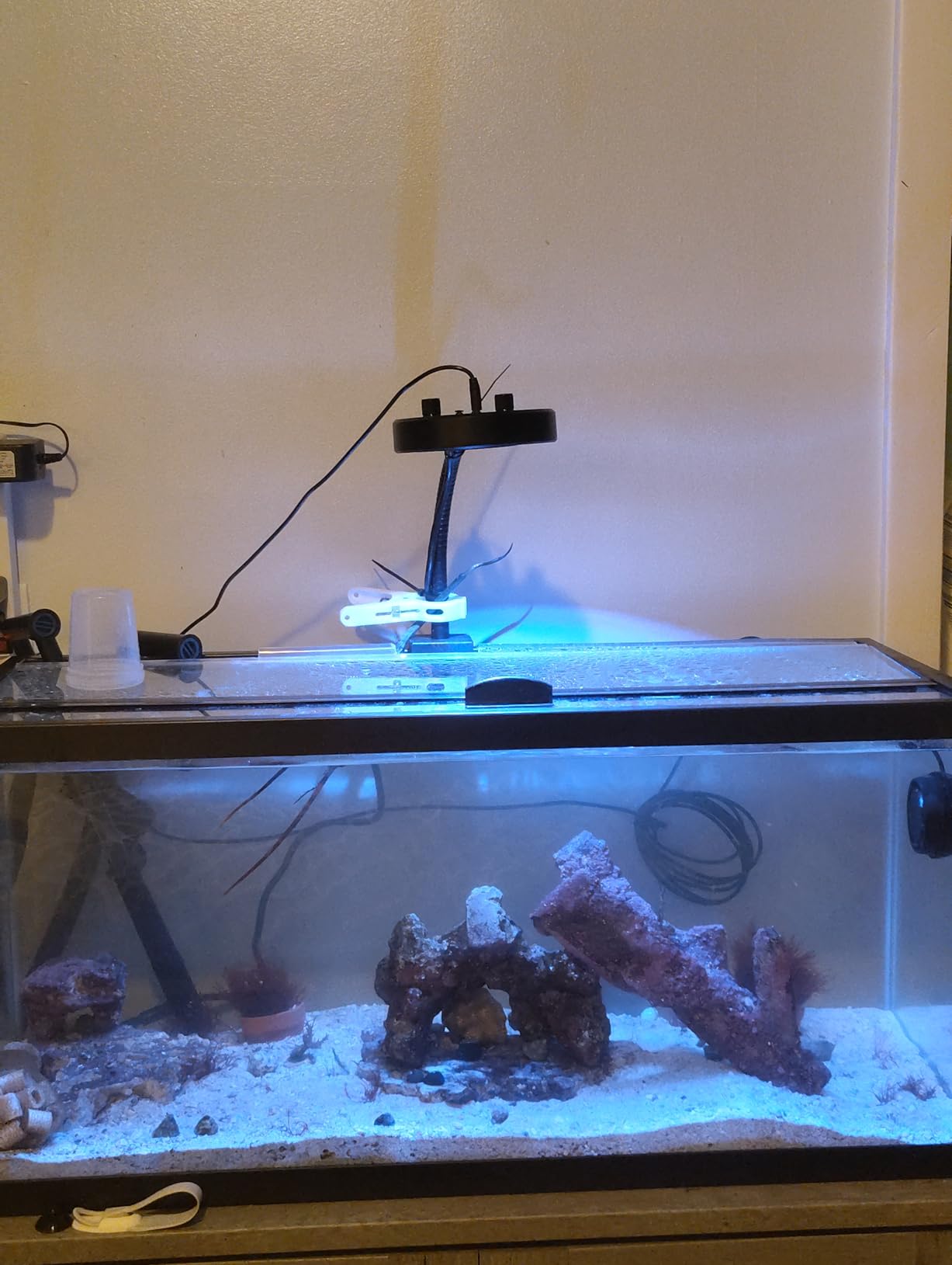 Tuna Blue A80 LED Light w/ mini gooseneck customer photo 1