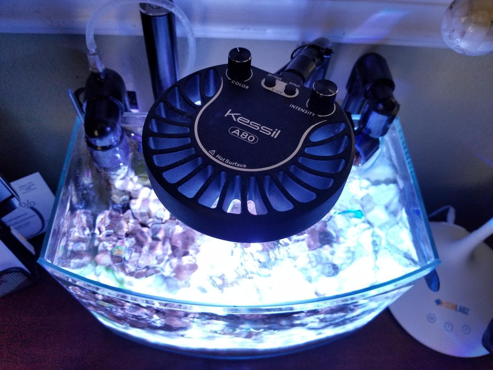 Tuna Blue A80 LED Light w/ mini gooseneck customer photo 2