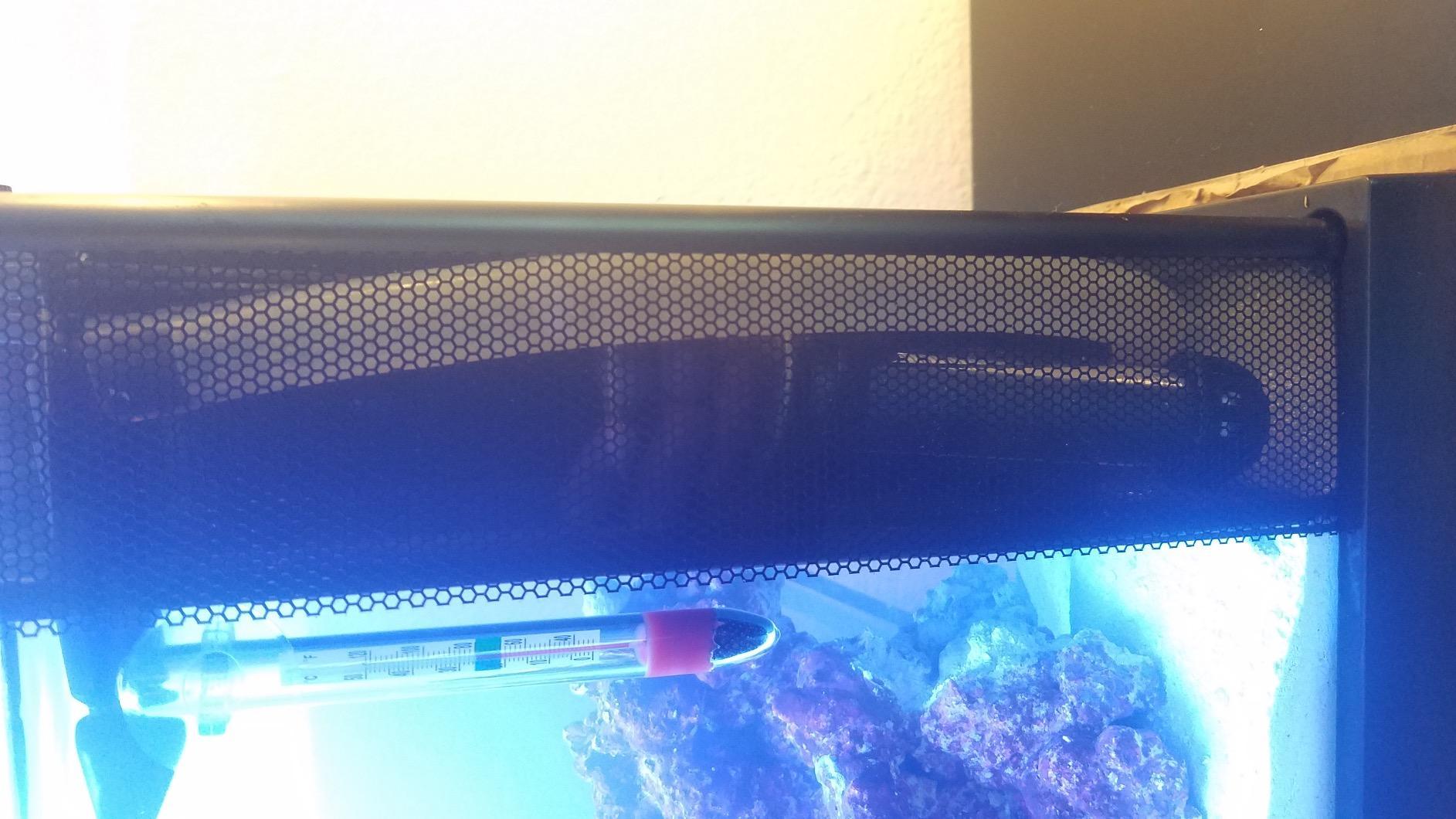 Fluval Sea Evo V Saltwater Fish Tank Aquarium Kit, Black, 5 gal customer photo 1