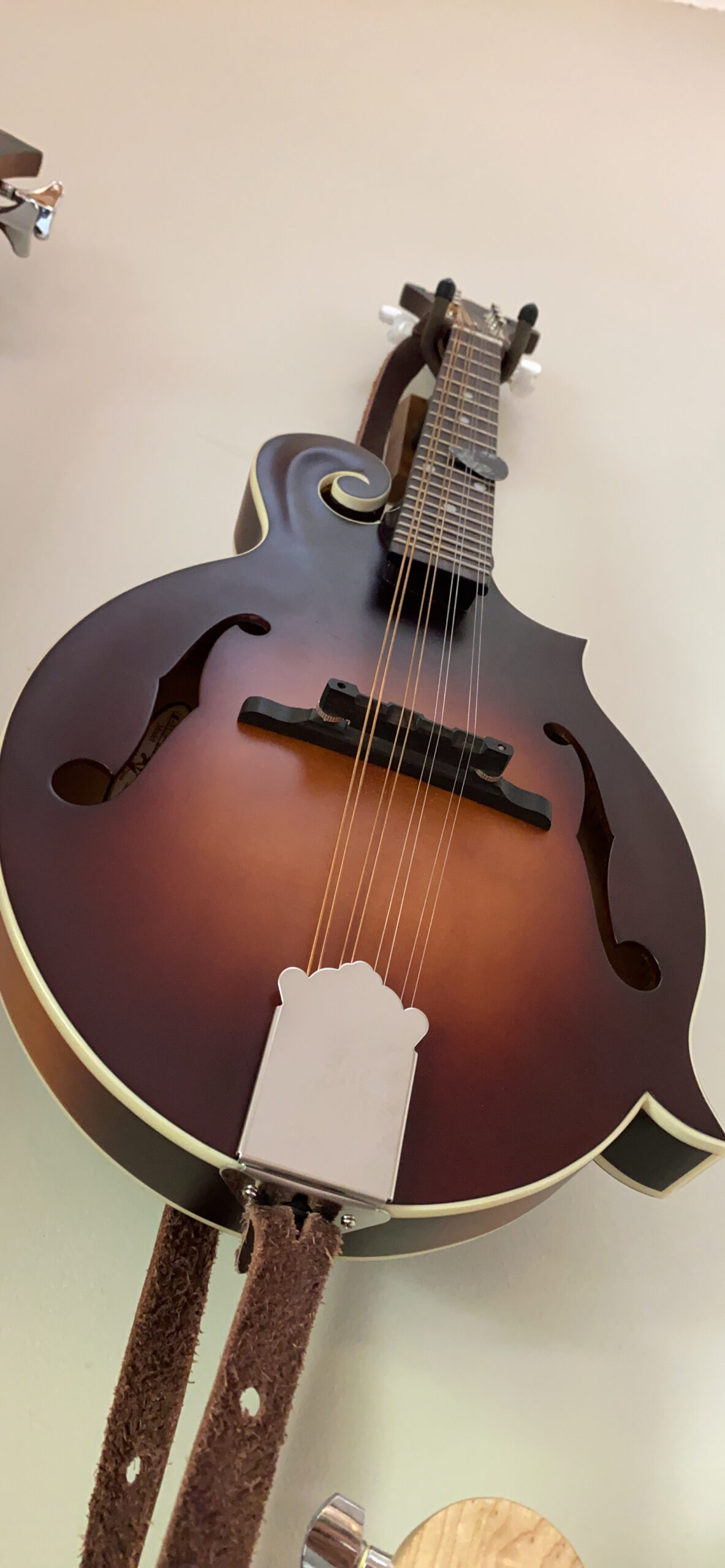 The Loar LM-310F-BRB Honey Creek F-Style Mandolin customer photo 2
