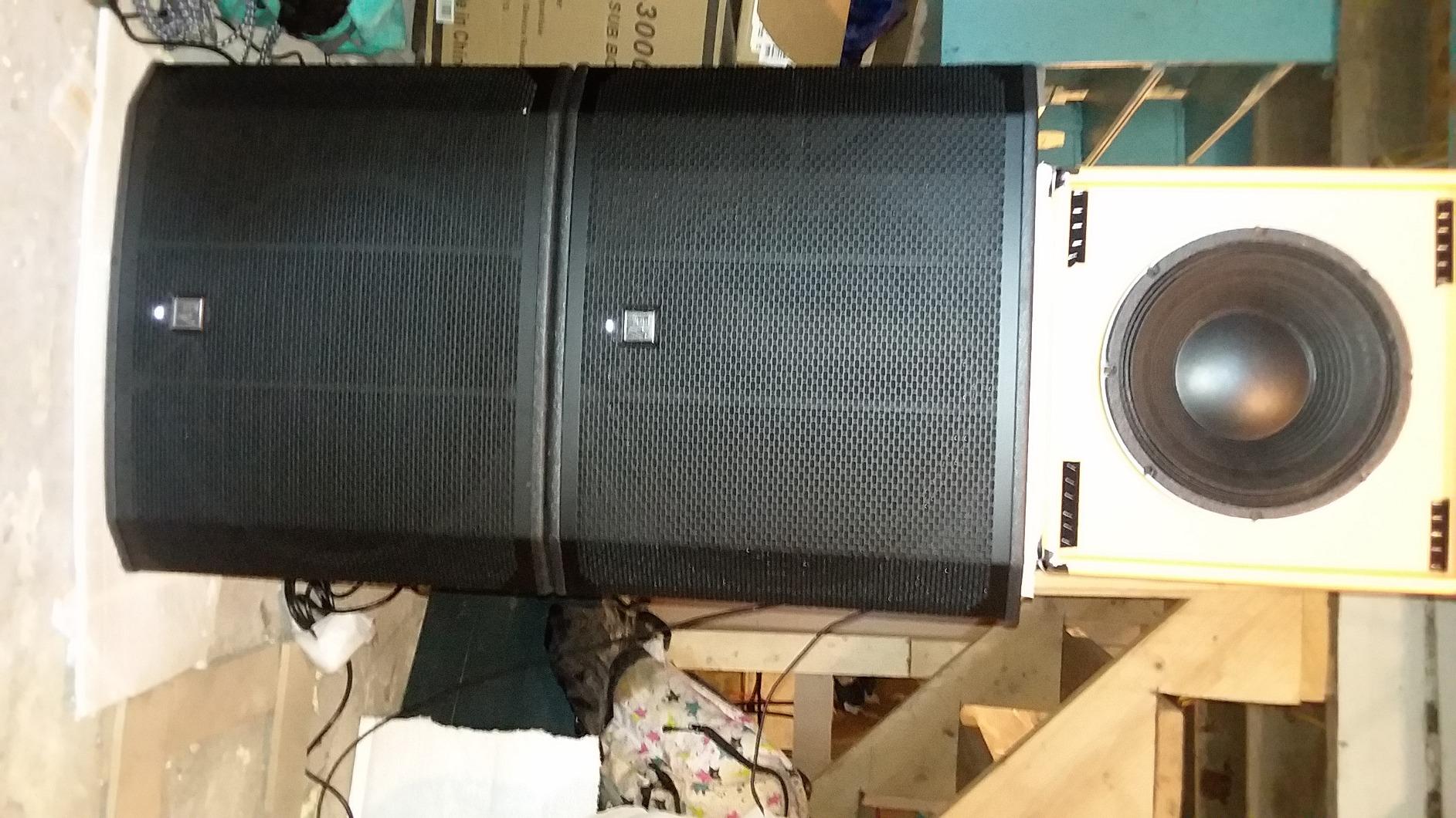 Electro-Voice EKX-18SP 18-Inch 1300W Class D Powered Subwoofer with Cardioid Control Technology and Two XLR Outputs (Black) customer photo 1