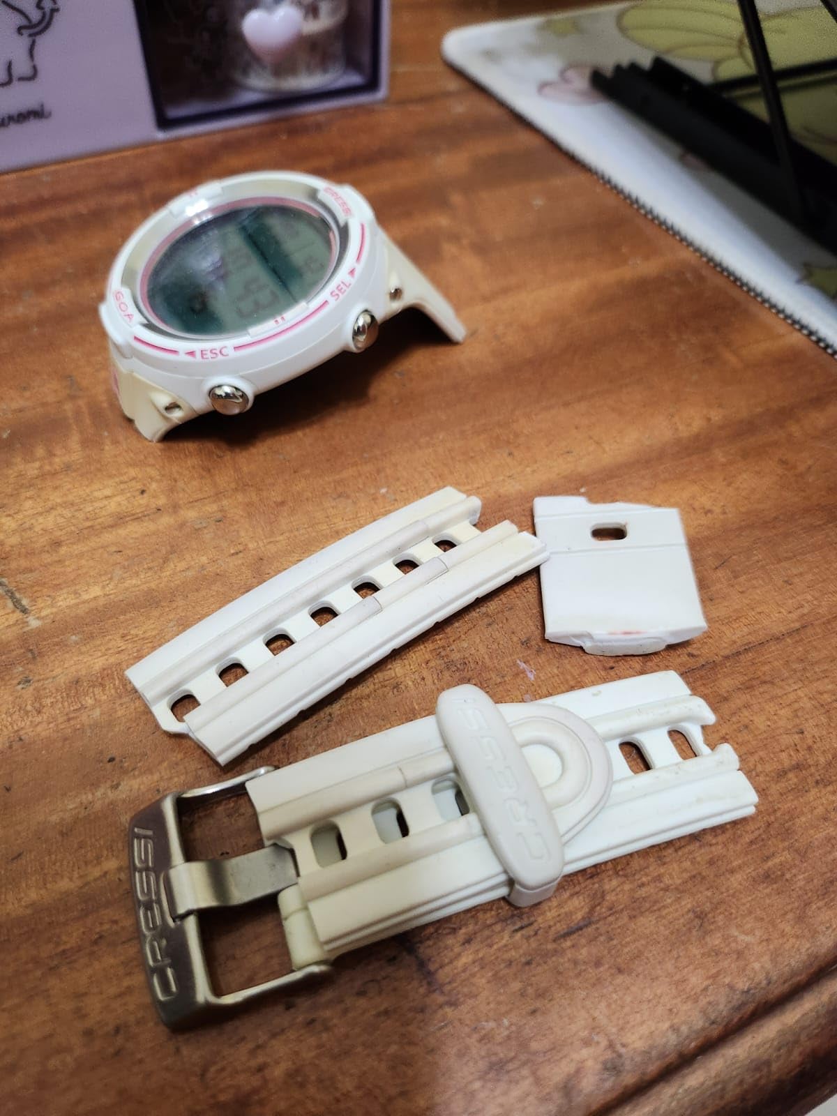 Cressi Goa Dive Watch Computer | 4 Programs - Air/Nitrox, Freediving, Gage | Made in Italy customer photo 1