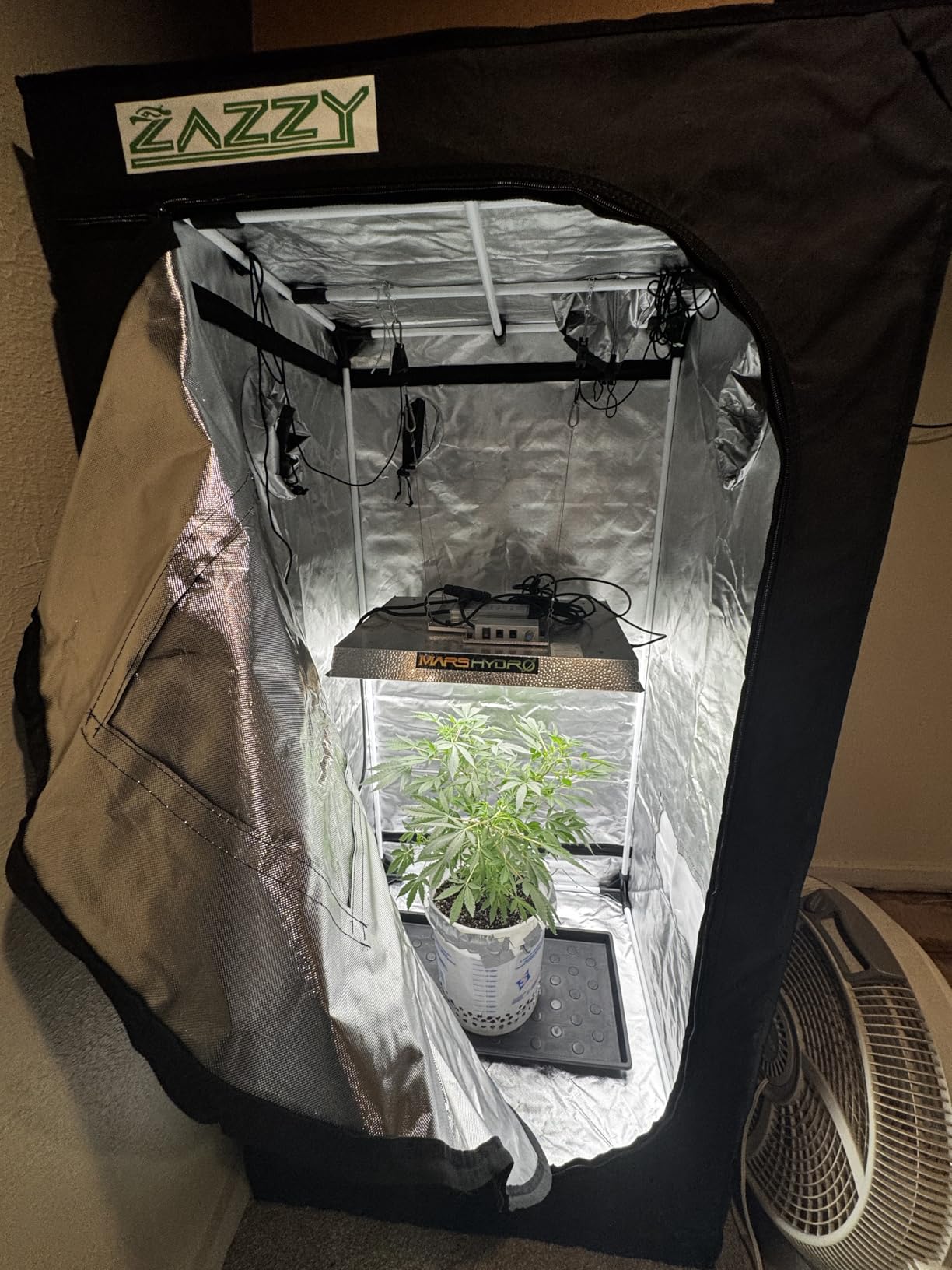 zazzy Grow Tent, 96