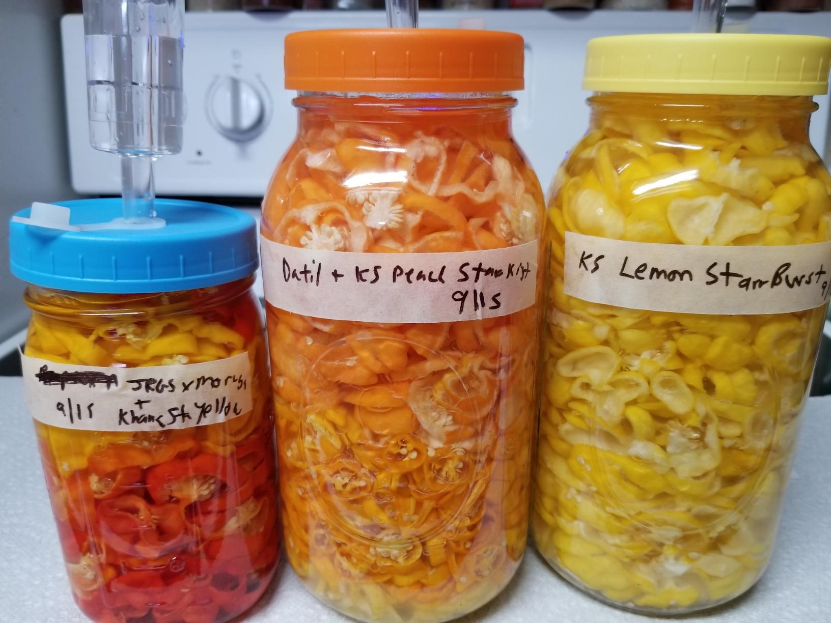 Jillmo Fermentation Lids for Wide Mouth Mason Jars, Stainless Steel Fermentation Kit with Airlock and Silicone Grommets (No Jars) customer photo 1