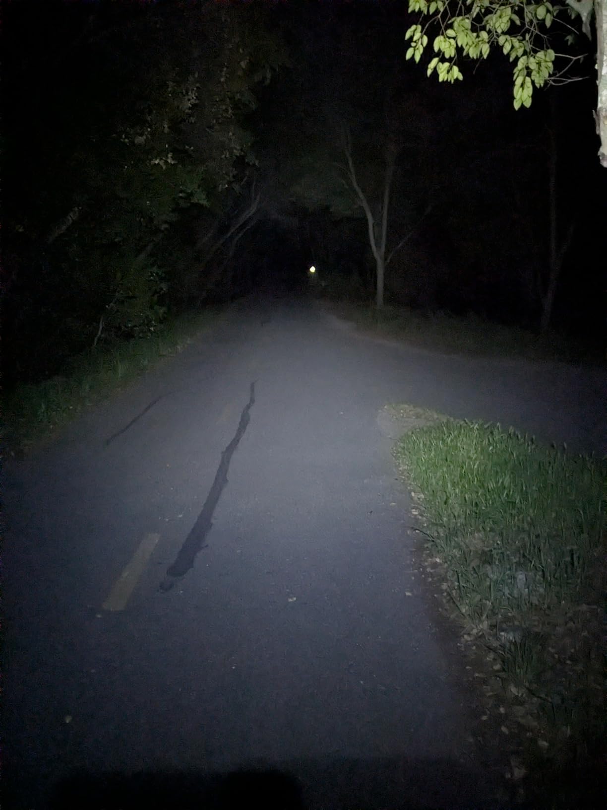 DanForce Headlamp. USB Rechargeable LED Head Lamp. Ultra Bright LUMINUS 1080 Lumen Headlamp Flashlight + Red Light. HeadLamps for Adults, Camping, Outdoors & Hard Hat Light. Zoomable IPX54 Headlight customer photo 2