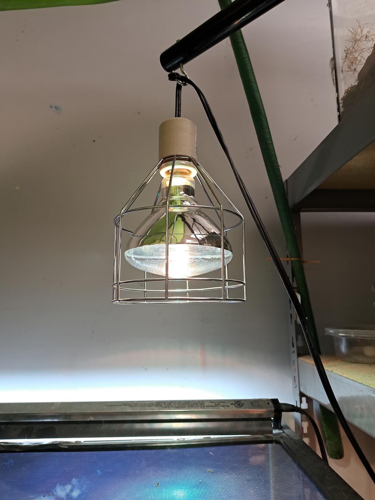 LUCKY HERP 100 Watt UVA+UVB Full Spectrum Vapor Heat Lamp Bulb, High Intensity Self-Ballasted Heat Basking Lamp/Bulb/Light for Reptile and Amphibian, Sun Lamp for Bearded Dragon Lizard Turtle(Clear) customer photo 2