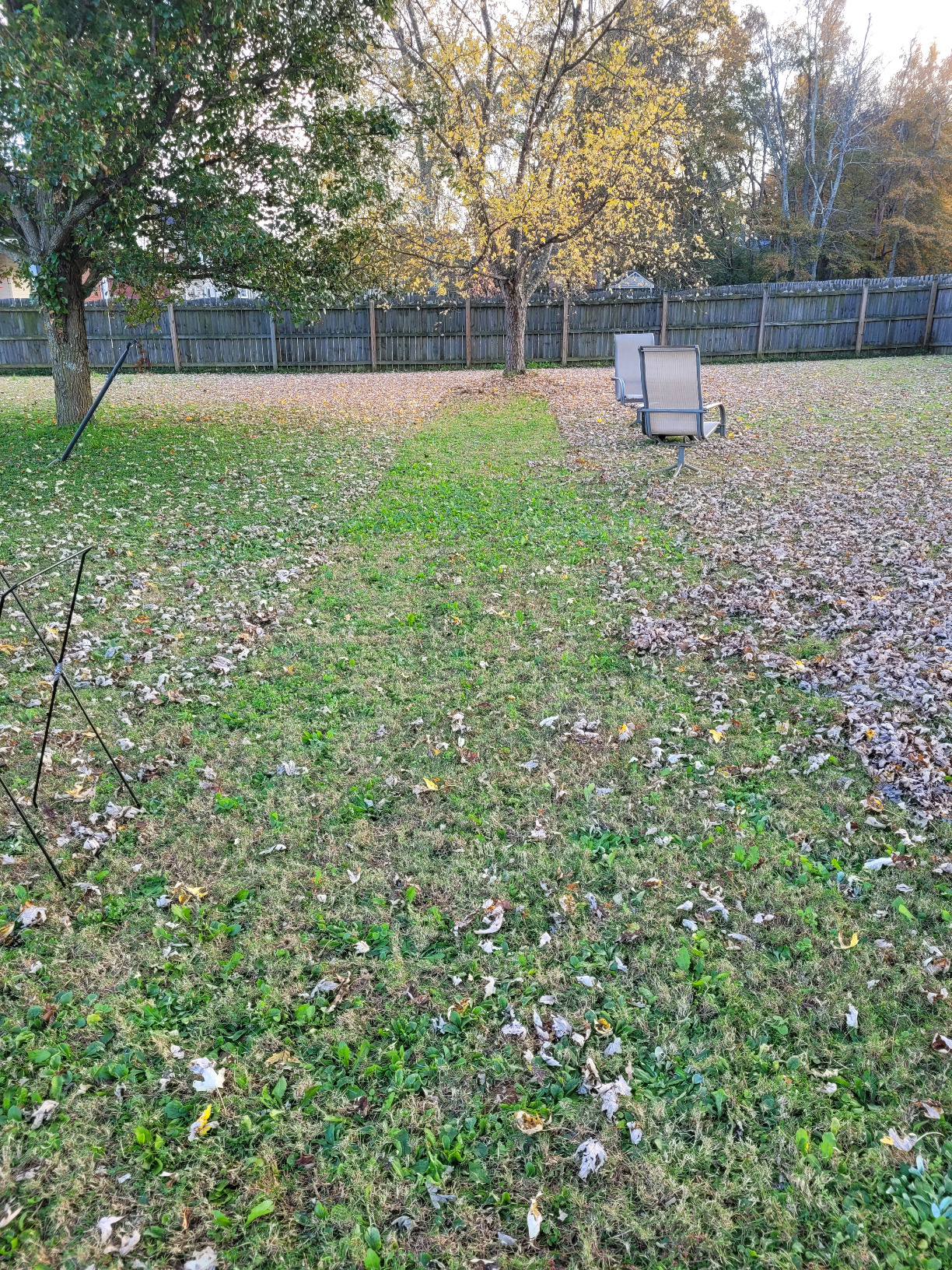 Earthwise LSW70021 21-Inch Width Leaf & Grass Push Lawn Sweeper customer photo 1