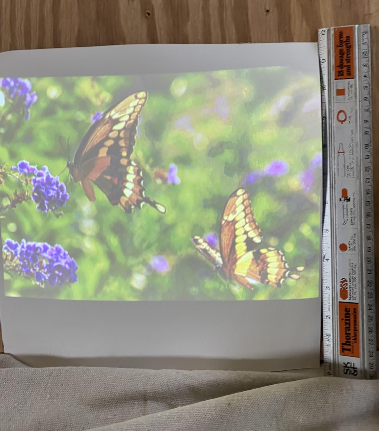 Kodak Ultra Mini Portable Projector - HD 1080p support LED DLP Rechargeable Pico Projector - 100'' Display, Built-in Speaker customer photo 2