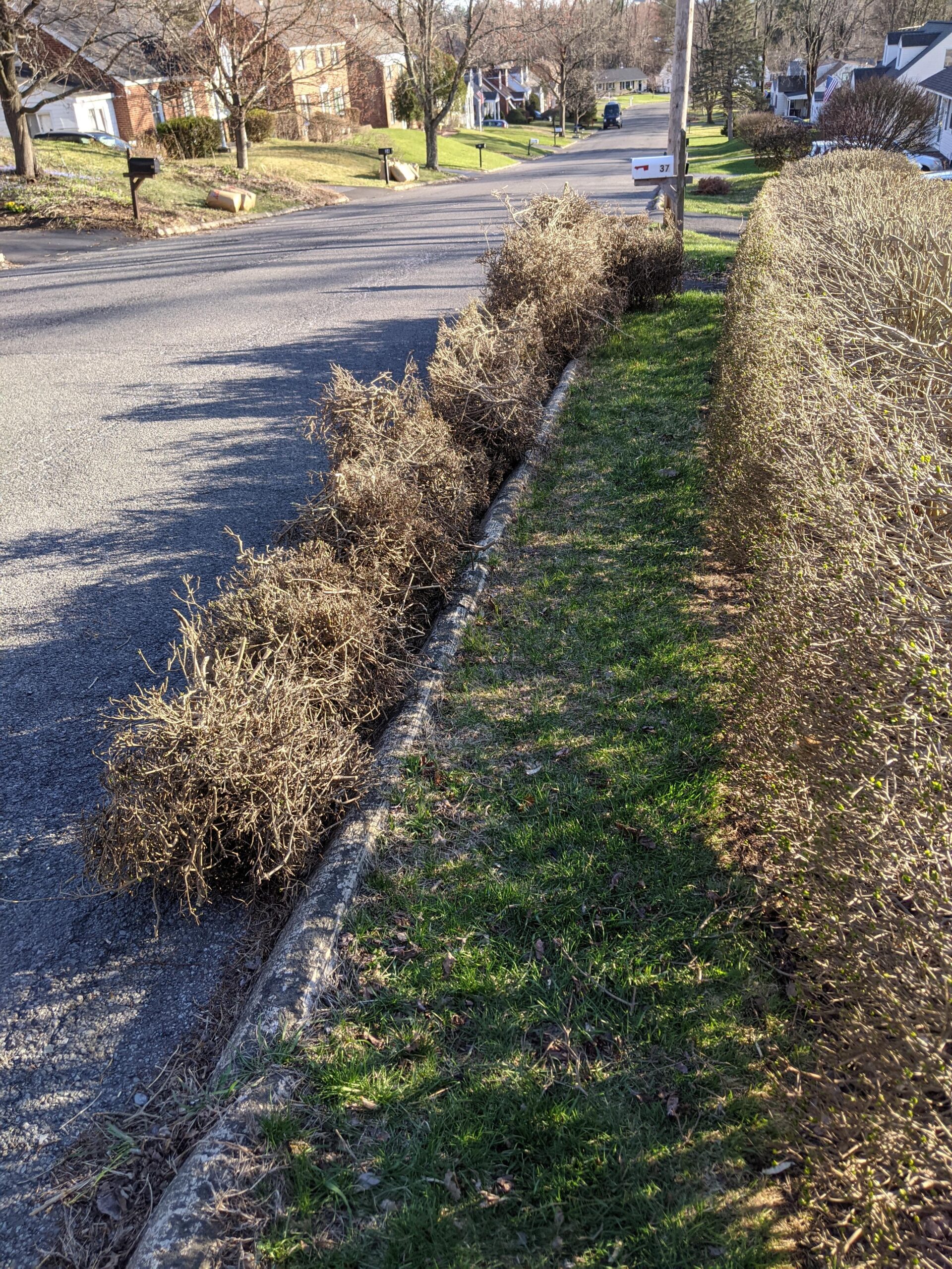 EGO POWER+ Hedge Trimmer Cordless, Electric Hedge Trimmer 24