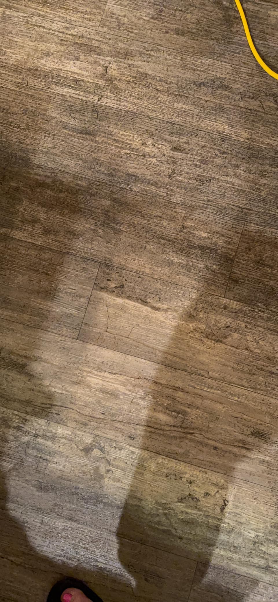 Bissell BigGreen BGFS5000 Portable Two Brush Floor Scrubber & Polisher, Polypropylene, 13