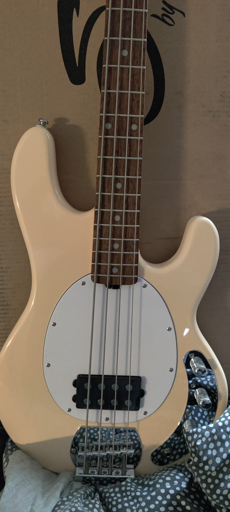 Sterling by Music Man StingRay Ray4 Bass Guitar in Walnut Satin customer photo 2