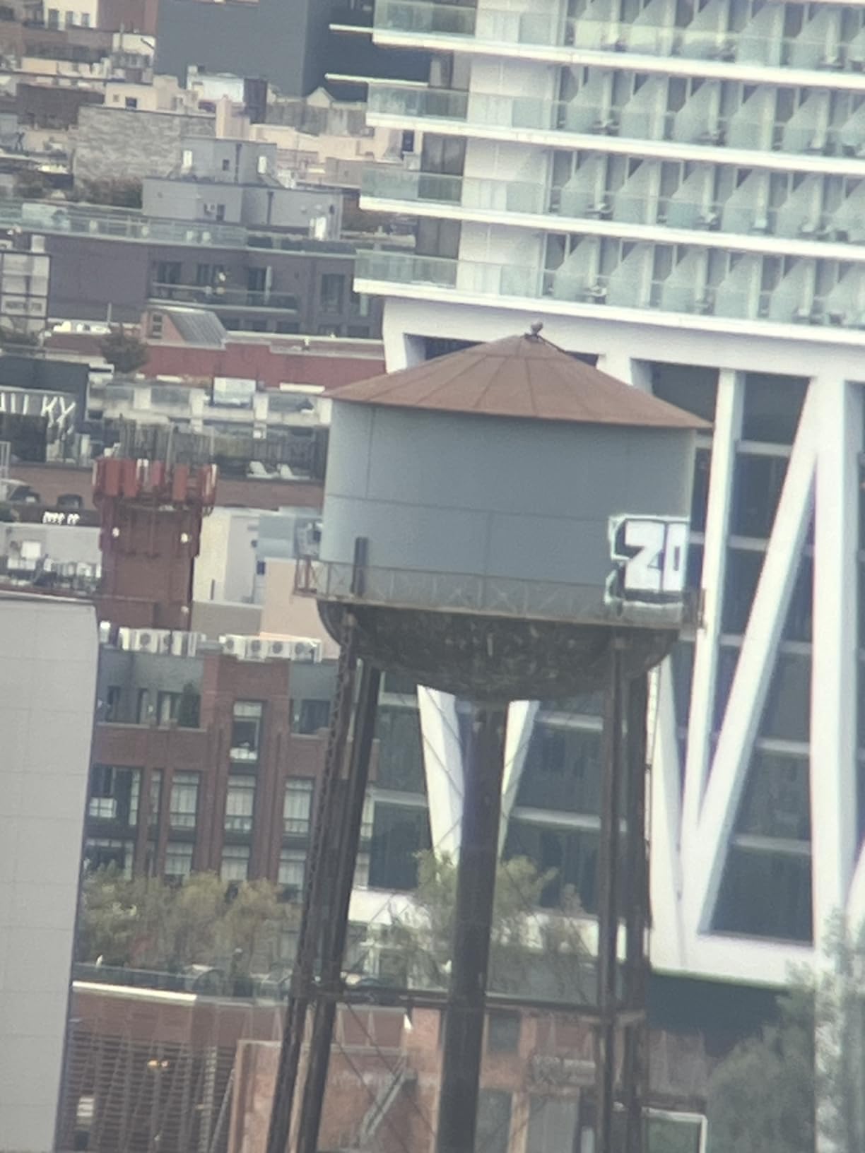 Gosky 12x55 HD Monocular Telescope with BAK4 Prism & FMC Lens, Lightweight with Smartphone Adapter - For Bird Watching, Hunting, Hiking, Traveling customer photo 2