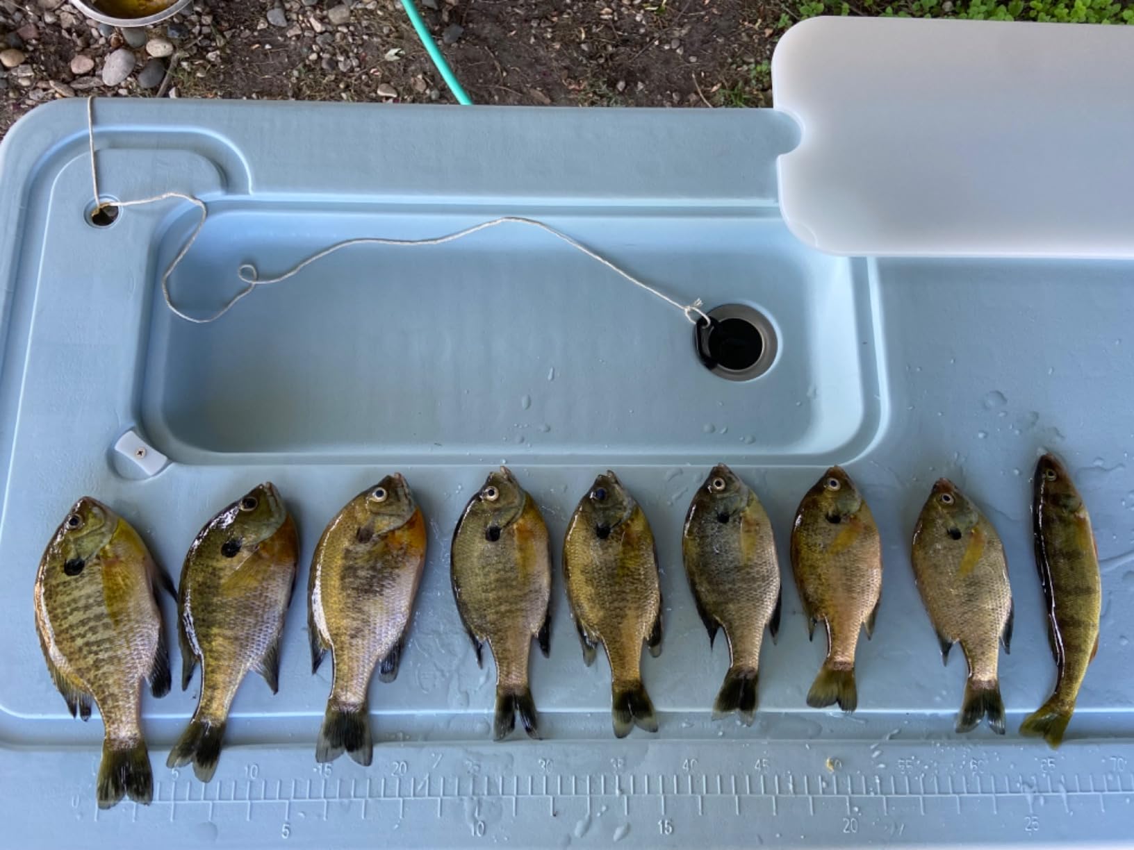 LUCKY Portable Fish Finder Handheld Wired Sonar Sensor customer photo 1