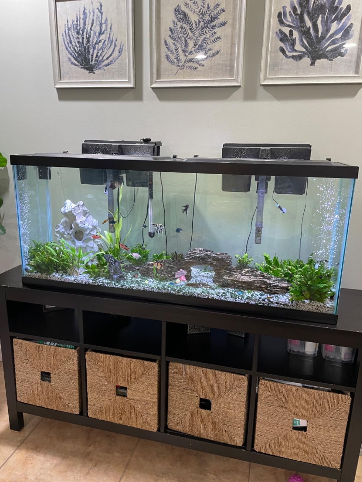 Tetra Complete LED Aquarium Kit for Fish, 55 Gallons, Includes White LED Lights, Filter, Heater and Accessories customer photo 2