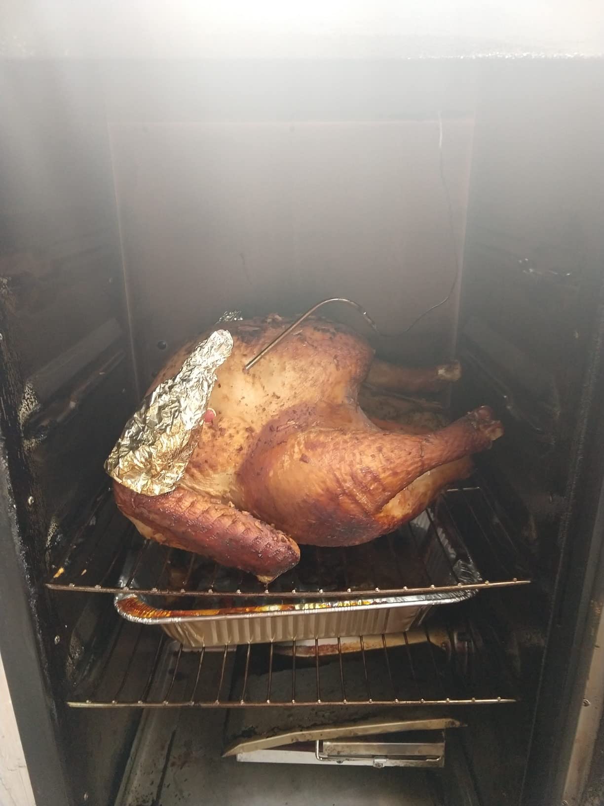 Masterbuilt 30-inch Digital Electric Vertical BBQ Smoker with Side Wood Chip Loader, Chrome Racks and 710 Cooking Square Inches, Model MB20071117 customer photo 2