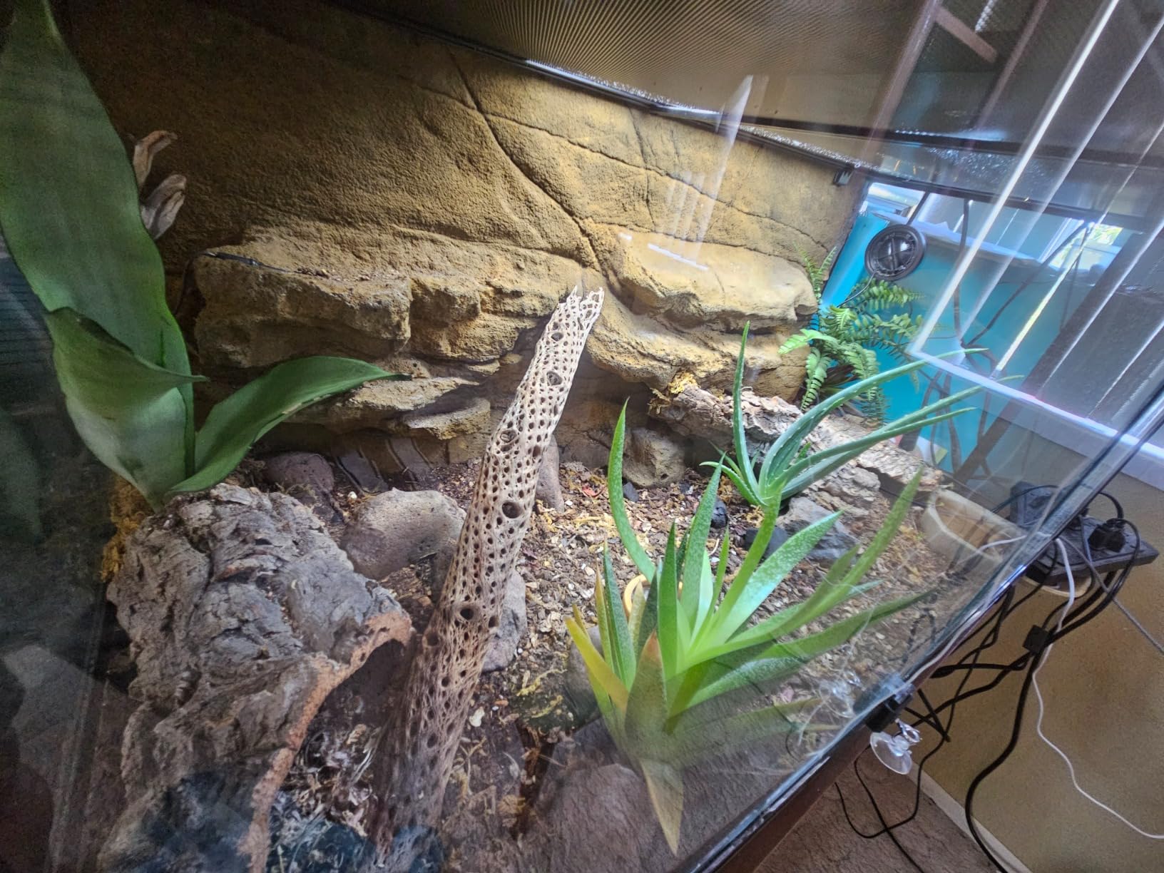 REPTI ZOO 50 Gallon Reptile Glass Terrarium Tank Double Hinge Door with Screen Ventilation Large Reptile Terrarium 36