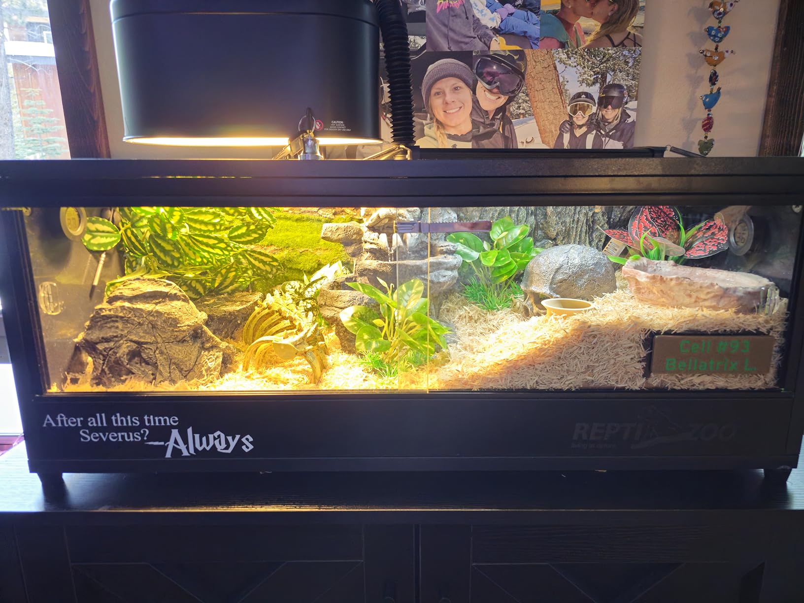 REPTI ZOO Dual Reptile Light Fixture for Reptile Dome UVB Lamp Fixture Dual Reptile Reflector Dome Lamp Cap Combo Integration Design Heat Lighting customer photo 1