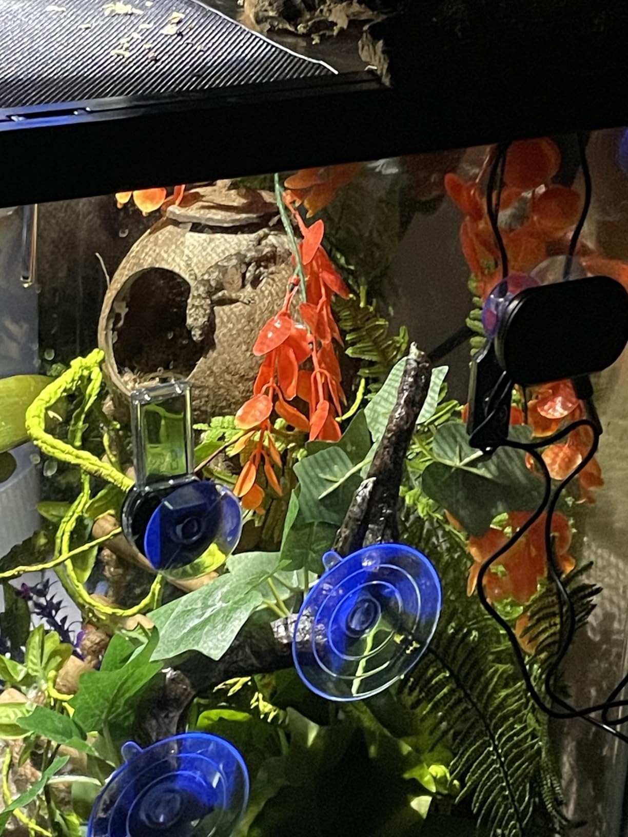 REPTI ZOO Dual Reptile Light Fixture for Reptile Dome UVB Lamp Fixture Dual Reptile Reflector Dome Lamp Cap Combo Integration Design Heat Lighting customer photo 2