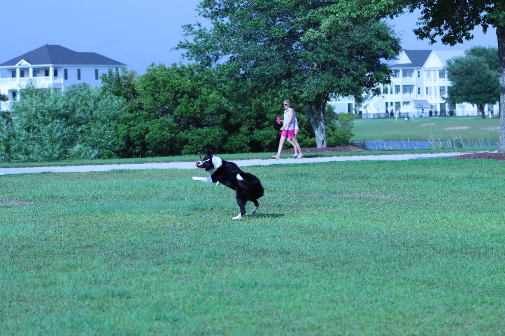 Canon EF 70-200mm f/2.8L Is III USM Lens for Canon Digital SLR Cameras, Telephoto customer photo 2