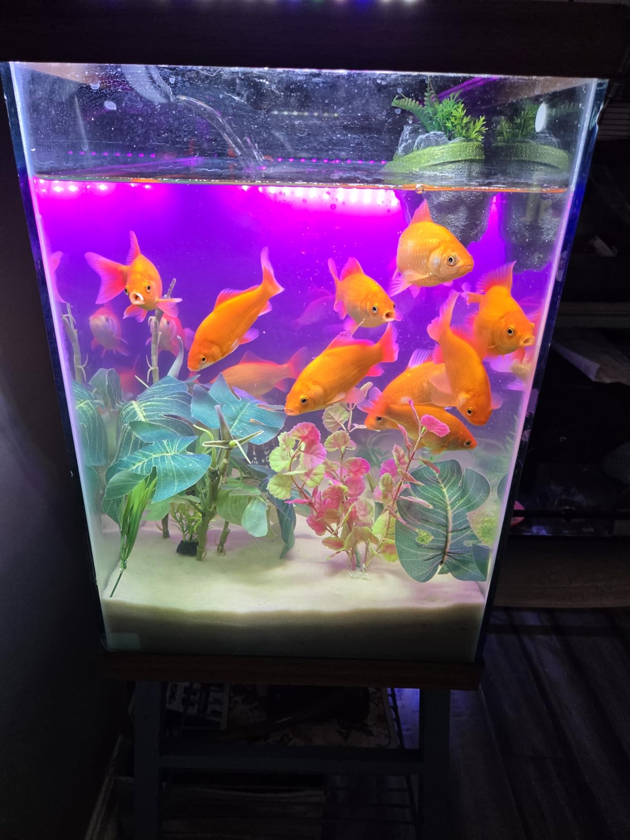 Aqueon QuietFlow Aquarium Fish Tank Canister Filter For 55-100 Gallon Aquariums customer photo 1