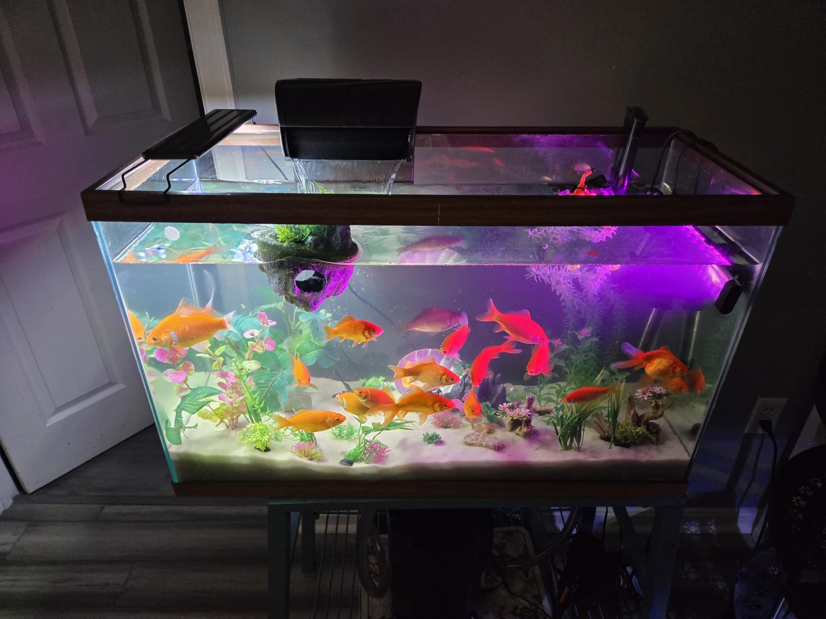 Aqueon QuietFlow Aquarium Fish Tank Canister Filter For 55-100 Gallon Aquariums customer photo 2