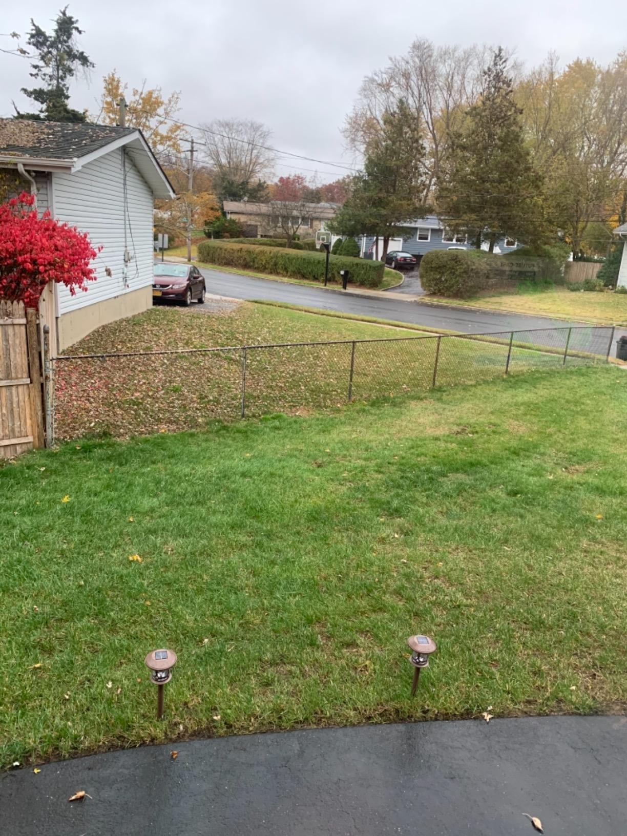 Scotts Outdoor Power Tools LSW70026S 26-Inch Push Lawn Sweeper customer photo 1