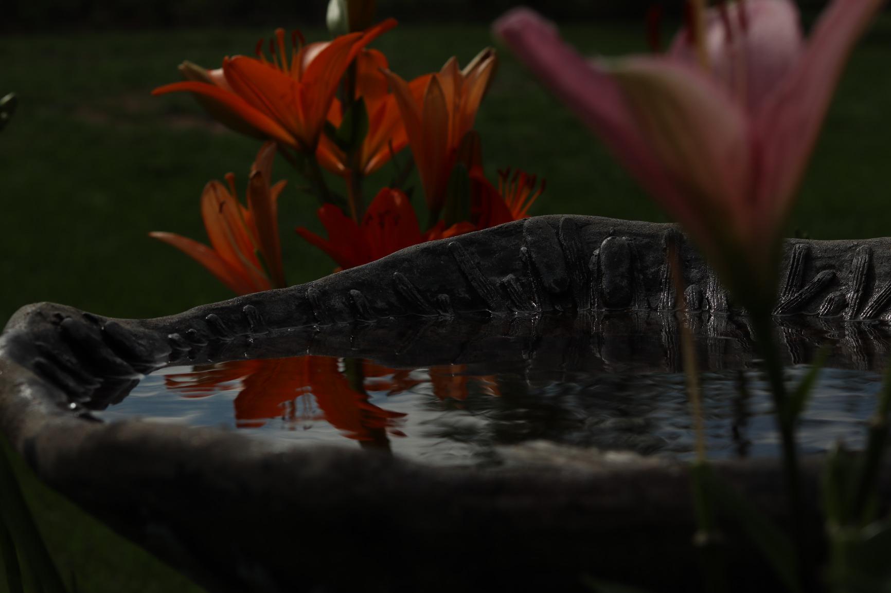 K&F Concept 77mm Variable ND Filter ND2-ND32 Camera Lens Filter (1-5 Stops) No X Cross HD Neutral Density Filter with 28 Multi-Layer Coatings Waterproof (Nano-X Series) customer photo 1