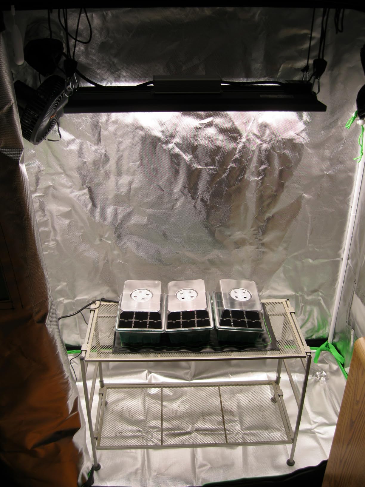 Grow Tent 96