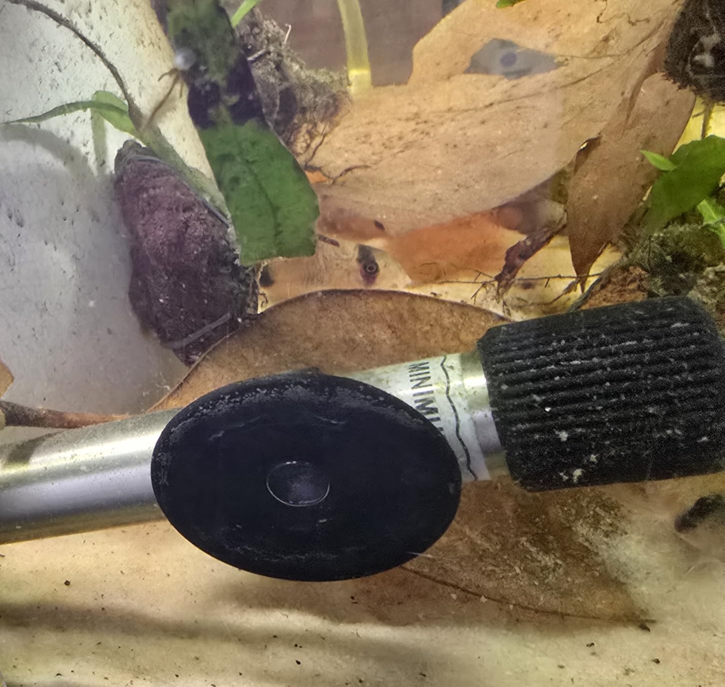 hygger 200W Titanium Aquarium Heater for Salt Water and Fresh Water, Digital Submersible Heater with External IC Thermostat Controller and Thermometer, for Fish Tank 20-45 Gallon customer photo 1