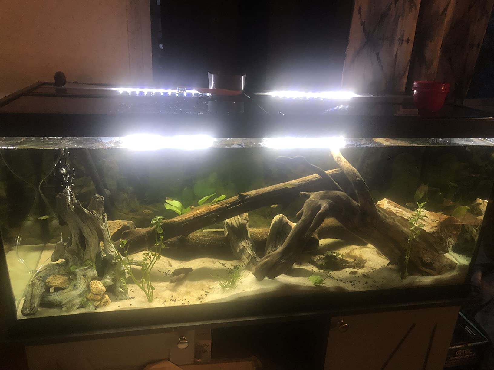 Aqueon Pro 300 Submersible Aquarium Fish Tank Heater, 300 Watts, For Up To 100 Gallon Fish Tanks customer photo 2