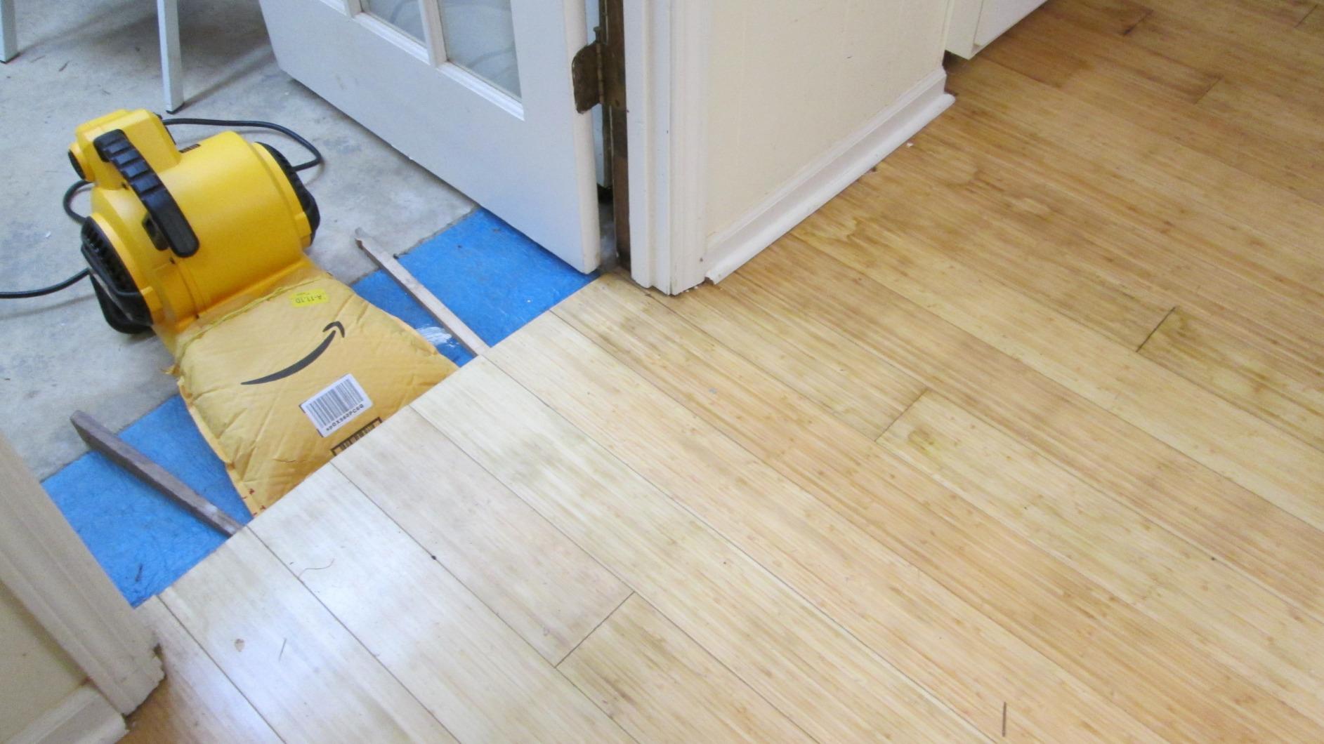 DEWALT Portable Air Mover, 276W 3 Speed Floor Fan, Utility Blower Fan, 1/5 HP 600 CFM Floor Dryer, Carpet Dryer, Floor Fan, Blower, for Janitorial, Home, Commercial Use, DXAM-2260 customer photo 1