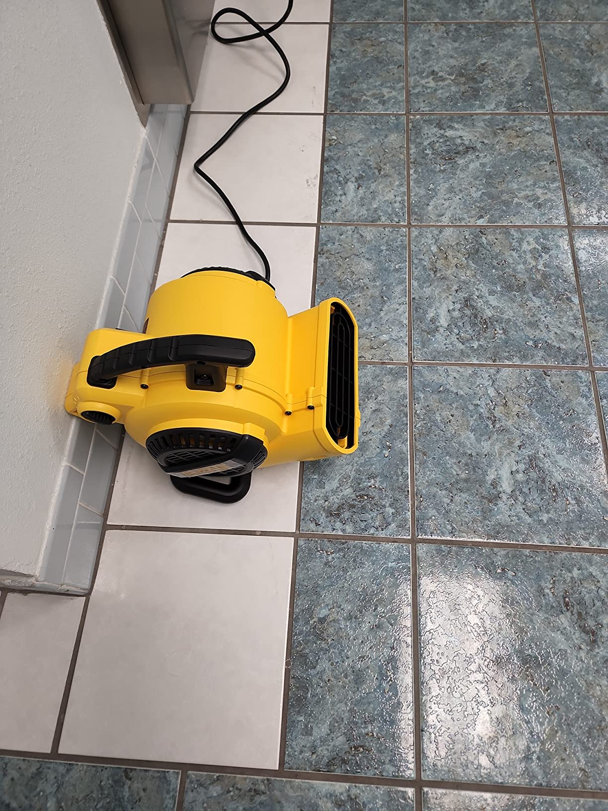 DEWALT Portable Air Mover, 276W 3 Speed Floor Fan, Utility Blower Fan, 1/5 HP 600 CFM Floor Dryer, Carpet Dryer, Floor Fan, Blower, for Janitorial, Home, Commercial Use, DXAM-2260 customer photo 2