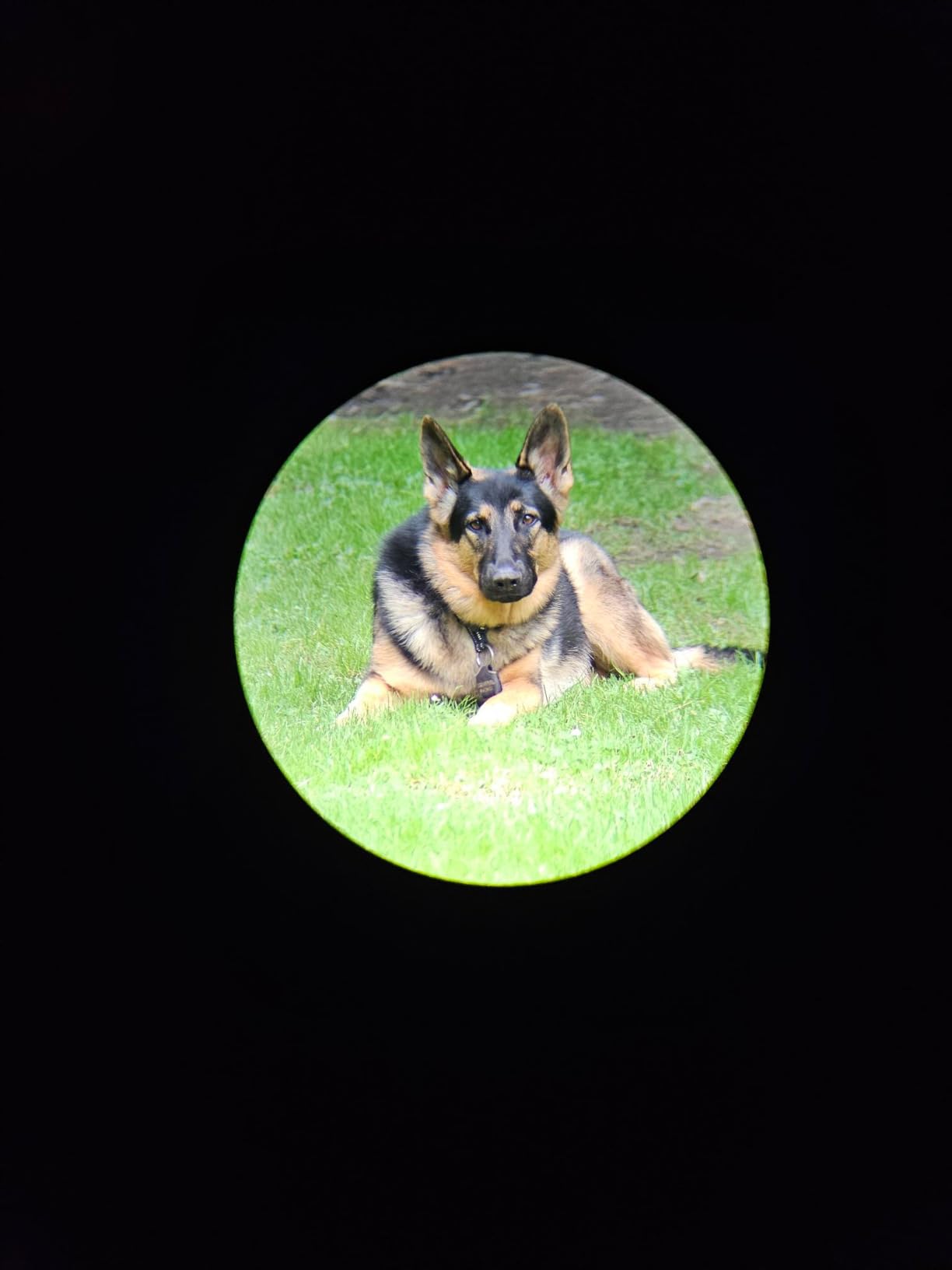 Gosky Flagship DiamondEdge 20-60x80 Spotting Scope with Tripod, Carrying Bag and Quick Phone Holder - BAK4 High Definition Waterproof Spotter Scope for Bird Watching Wildlife observing customer photo 2